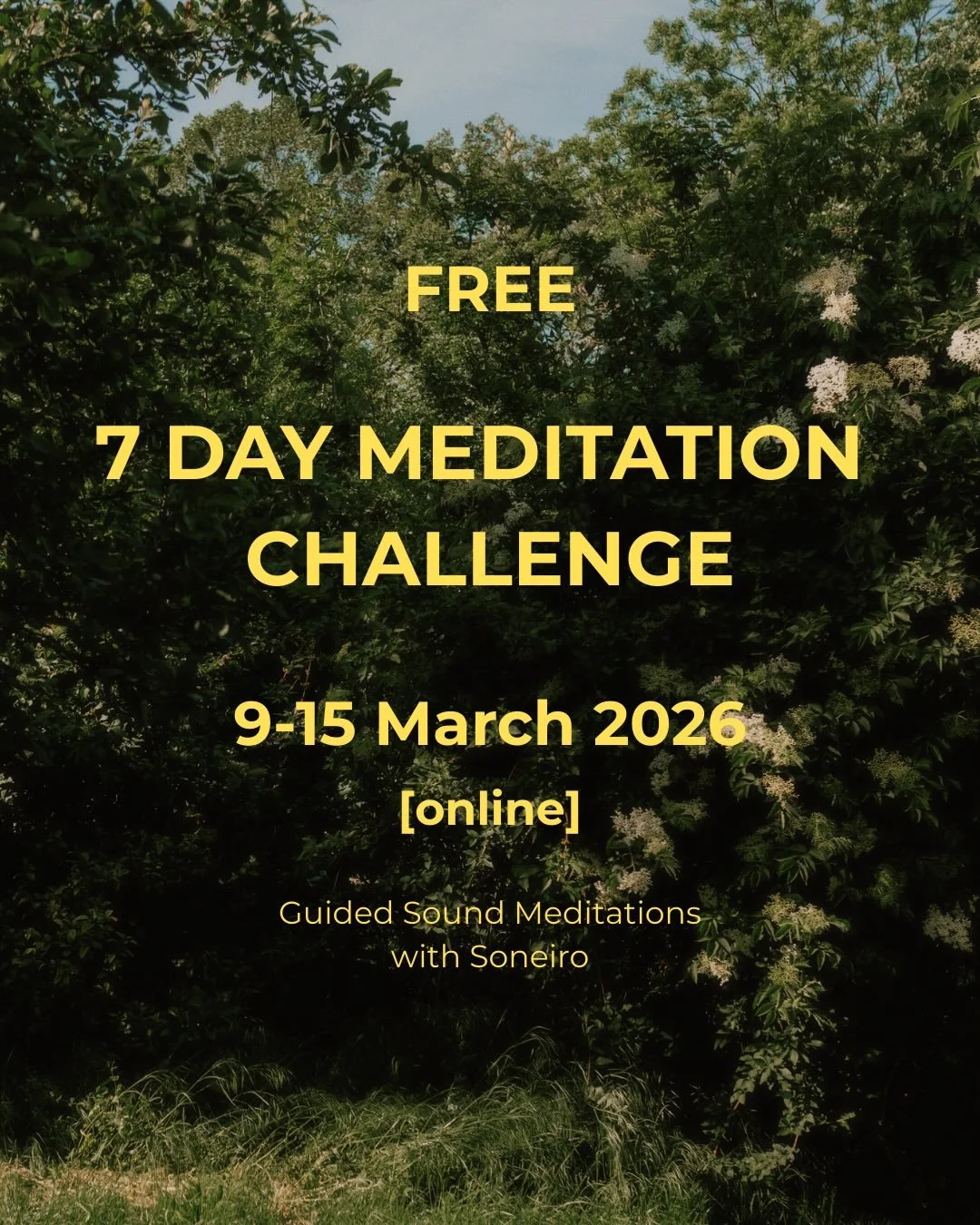 ATTUNE with us ~ Free 7 Day Meditation Course //

We are starting on Monday, March 9th, grab your free spot in this challenge and attune with us! Ready to re-enchant with life?

Comment &bdquo;attune&ldquo; and we send you the sign up link to the fre