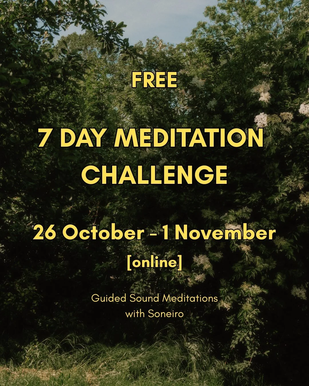 ATTUNE with us ~ Free 7 Day Meditation Course //

Grab your free spot in this challenge and attune with us!

Comment &bdquo;attune&ldquo; and we send you the sign up link to the free course directly ~

Over seven days, we will move through three dime