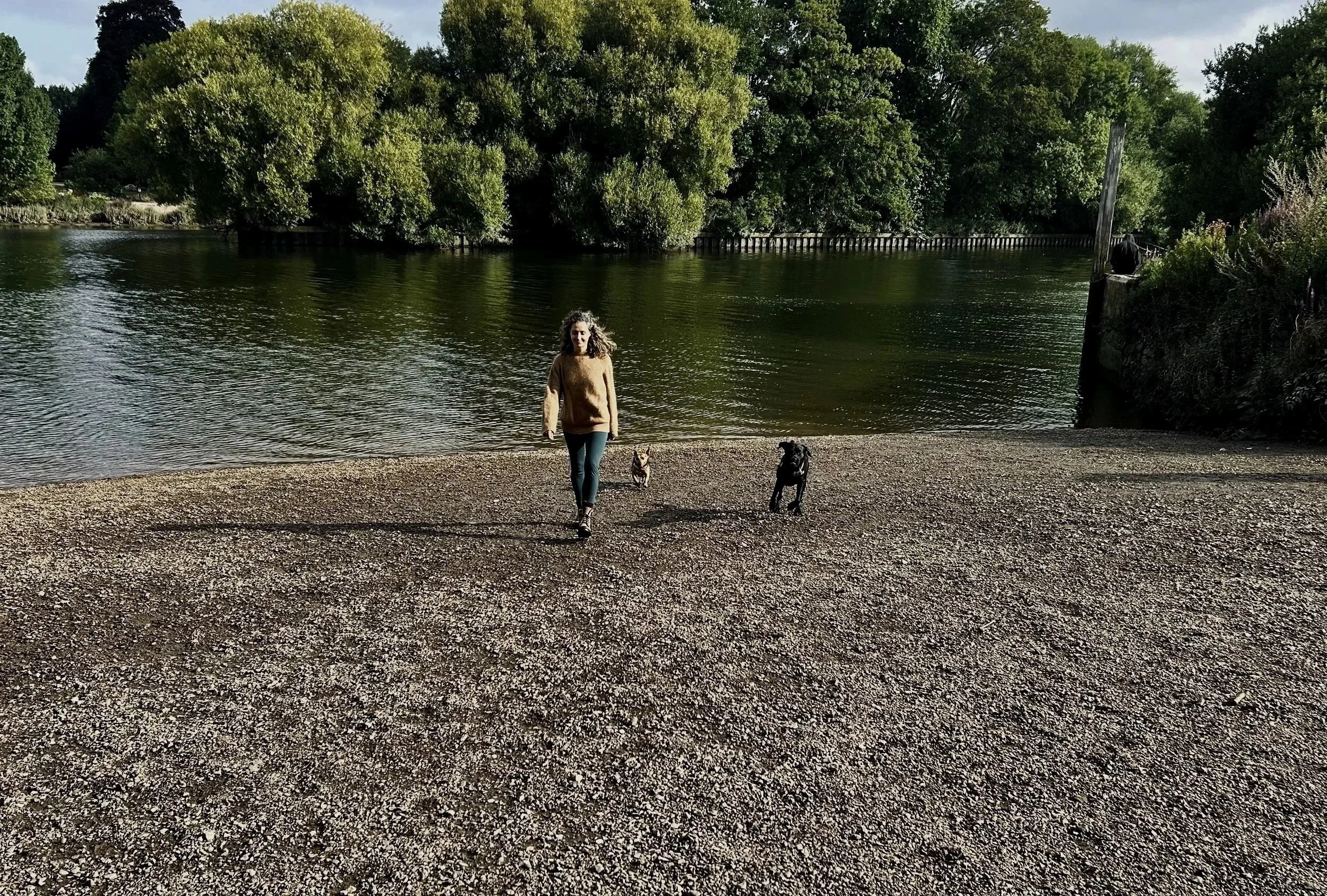 A woman walking with two dogs along a rocky shoreline near a body of water, with lush green trees in the background.