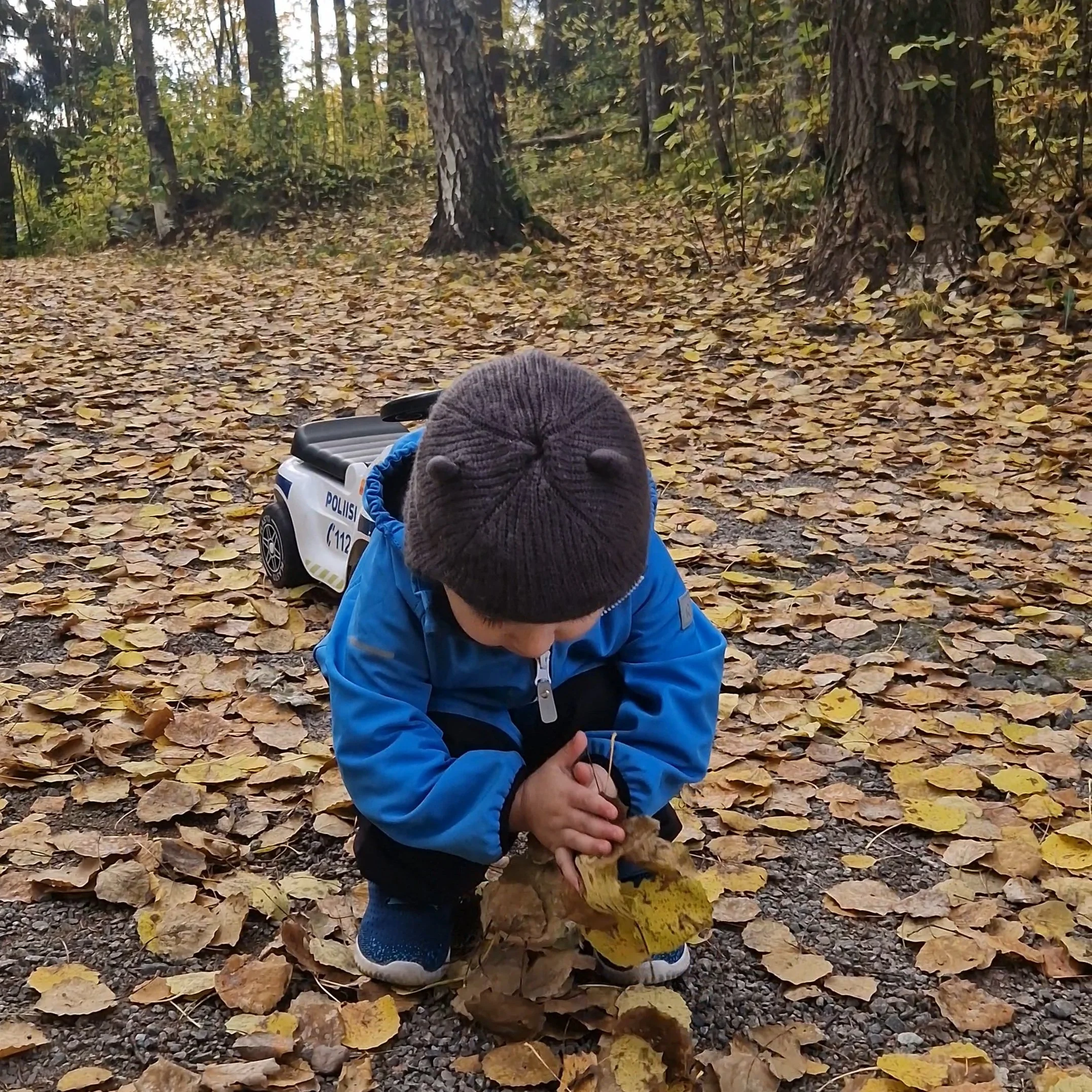 Metsäretkellä