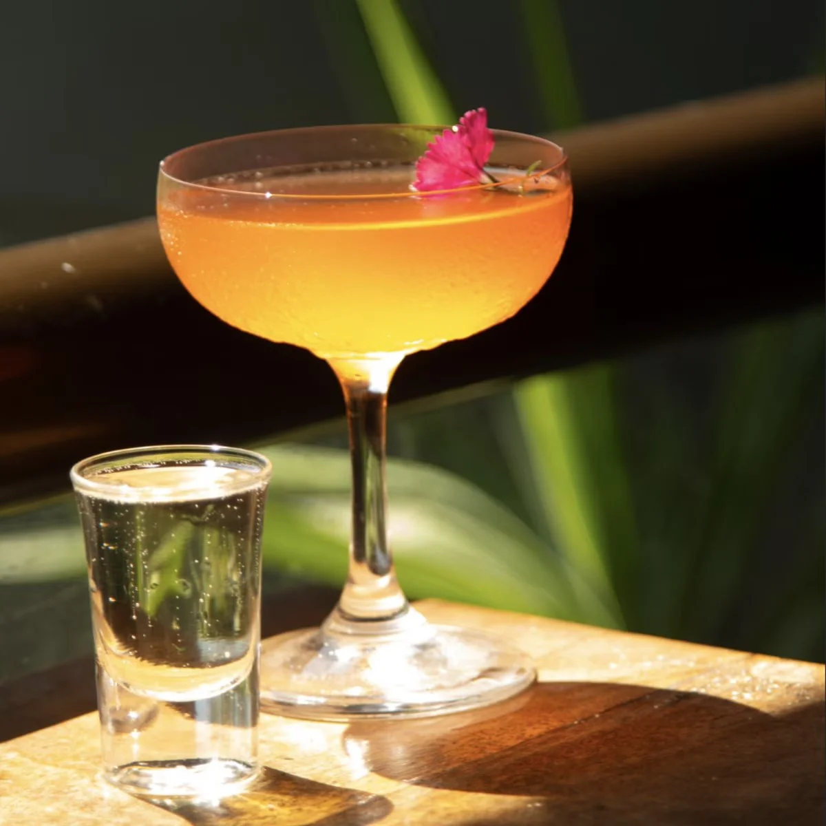 Signature Cocktail - Bad Bitch Martini