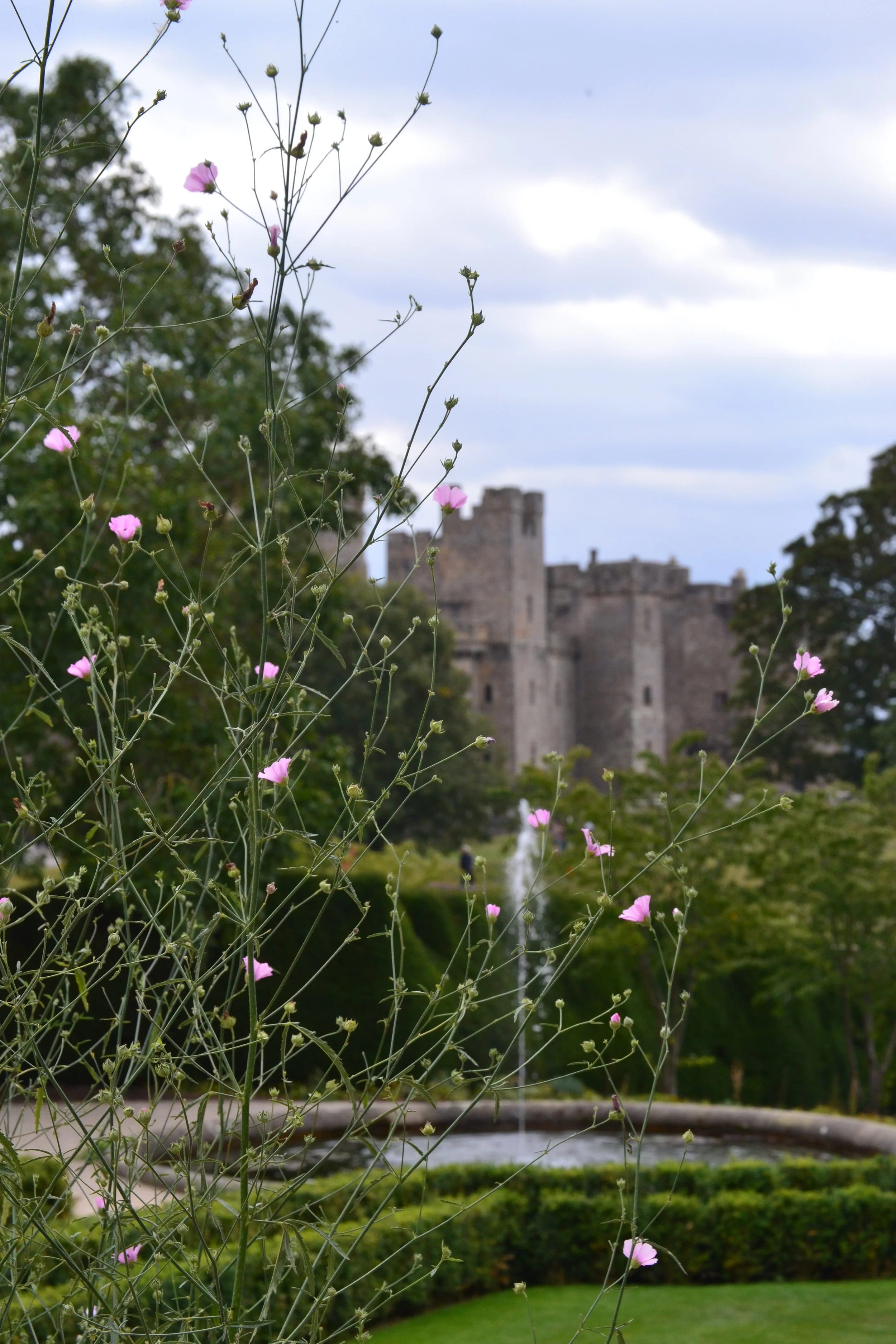Garden Build, Raby Castle