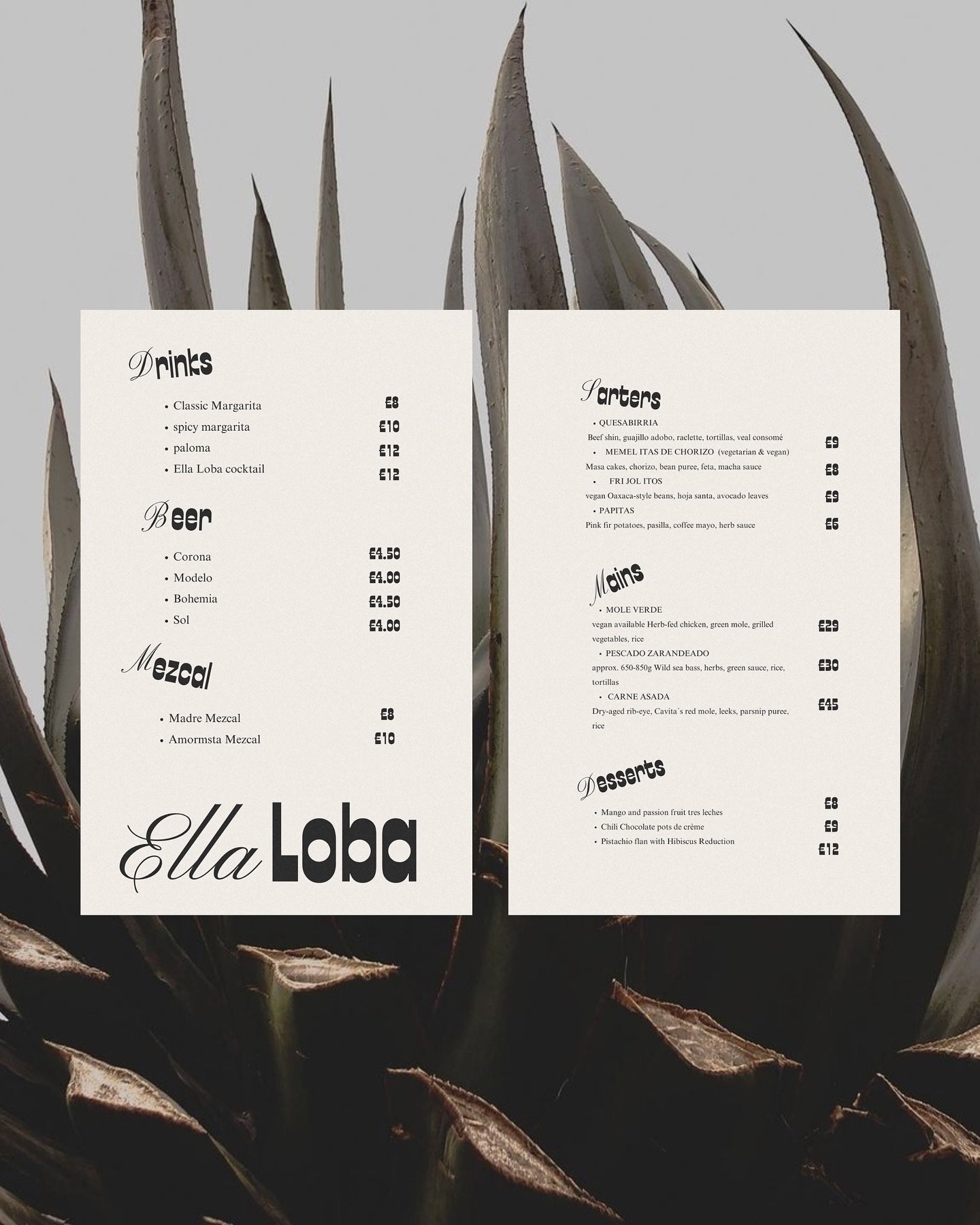 Think of a cooler and quirky sister version for CAVITA. Ella loba tales a bold new addition to the culinary scene that is more than just a restaurant&mdash;it's a celebration of feminine strength, resilience, and tradition. Founded by a passionate gr