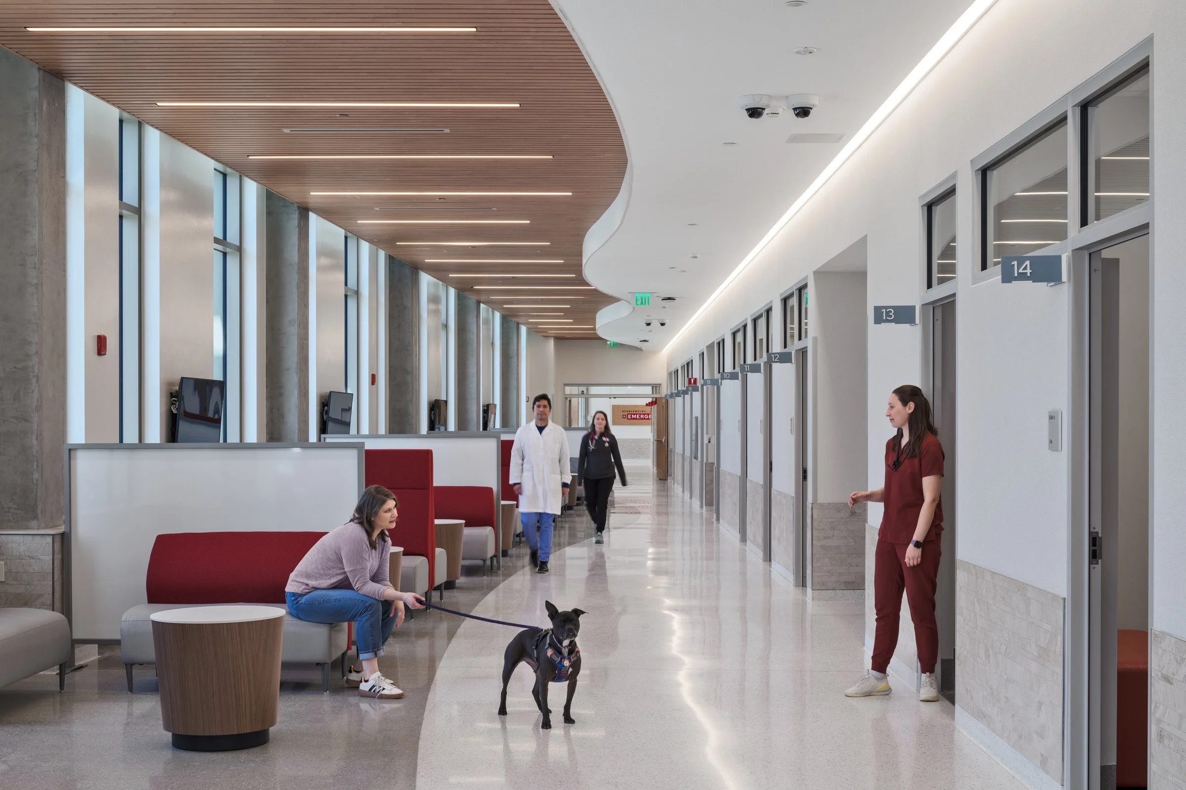 University of Wisconsin — Madison School of Veterinary Medicine ...