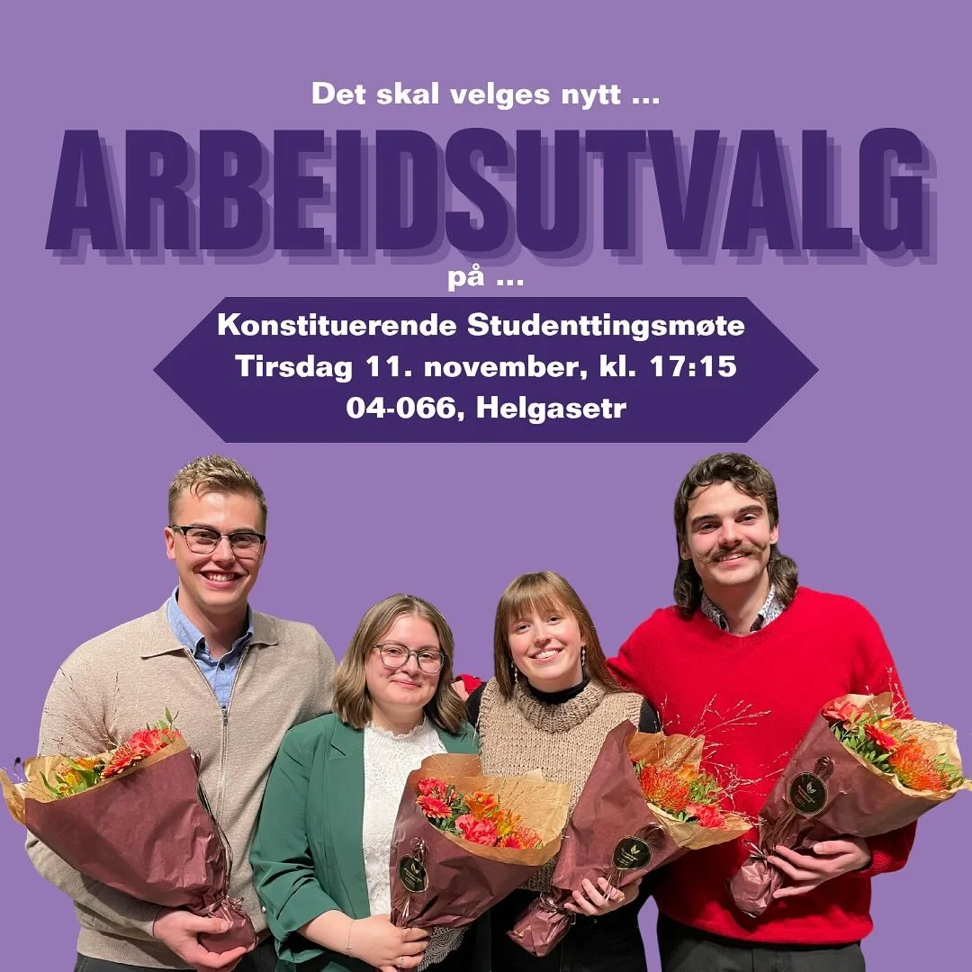 Har du en studentpolitiker i magen? Brenner du for l&aelig;ringsmilj&oslash;, kvalitet i utdanningen, gode muligheter for utveksling eller &aring; uttale deg til media?

Neste uke skal det velges nytt arbeidsutvalg med kontorsted i Trondheim, og alle