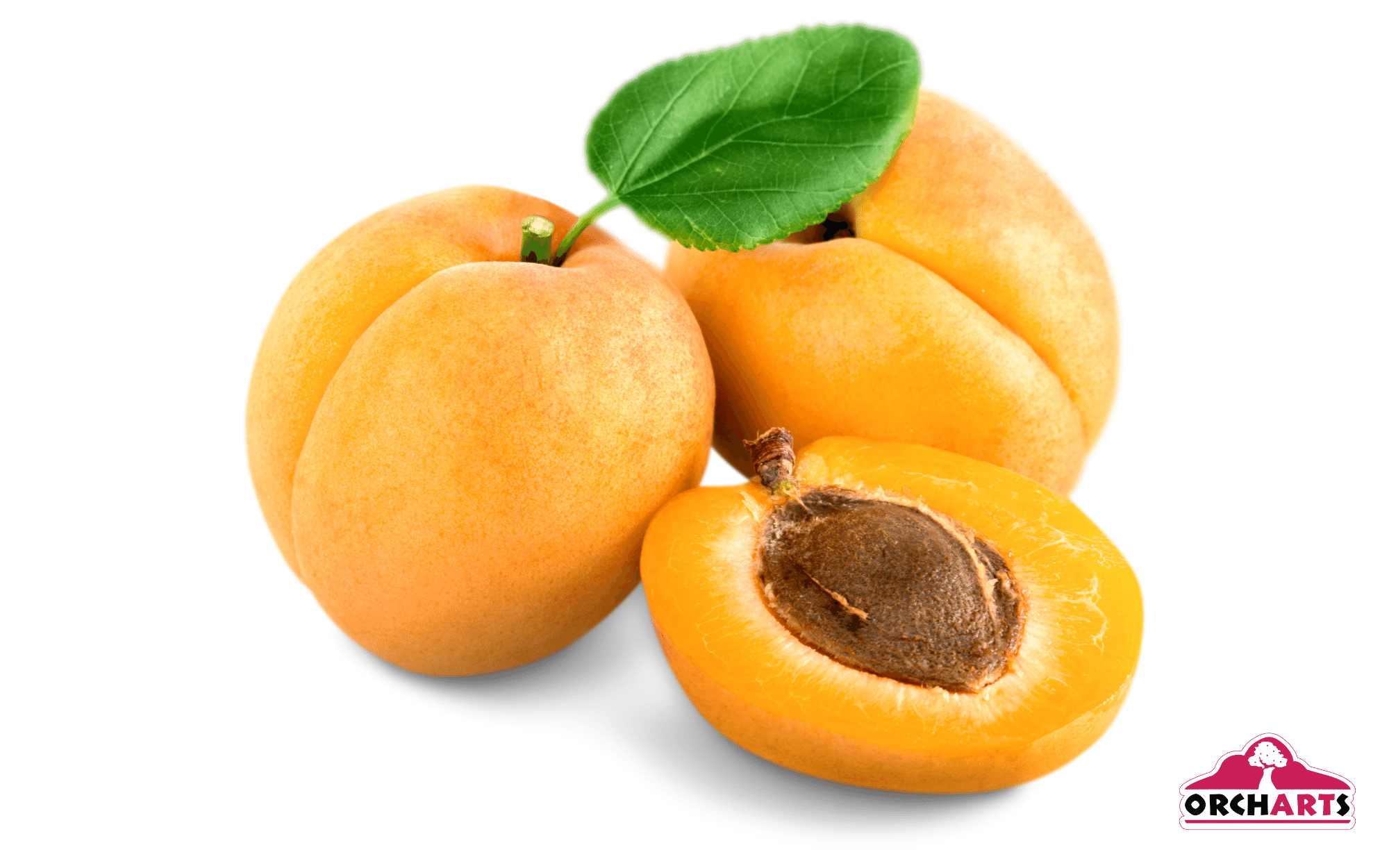 3.png