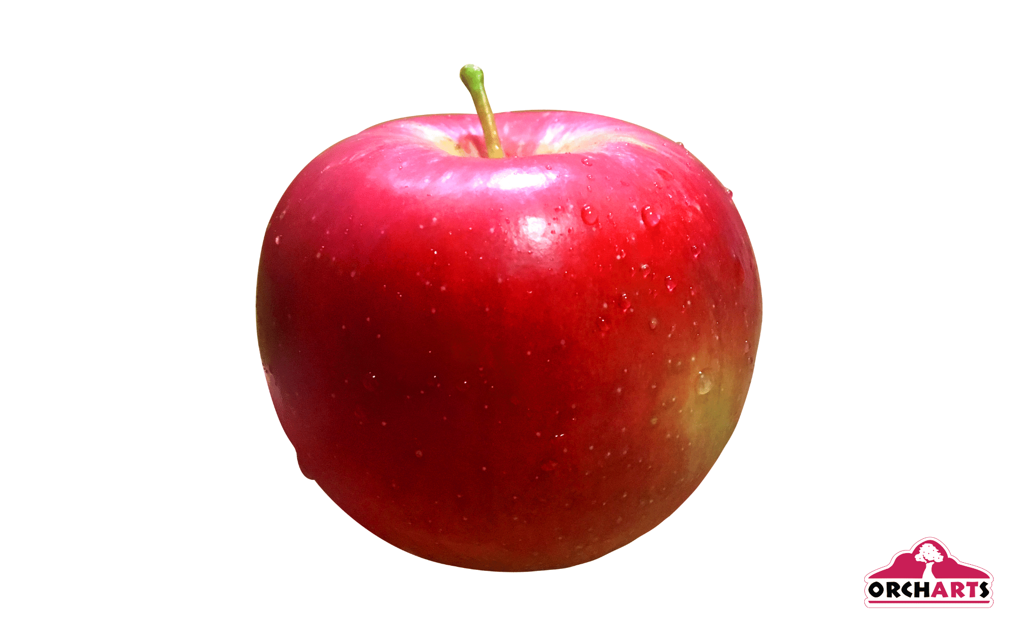 5.png
