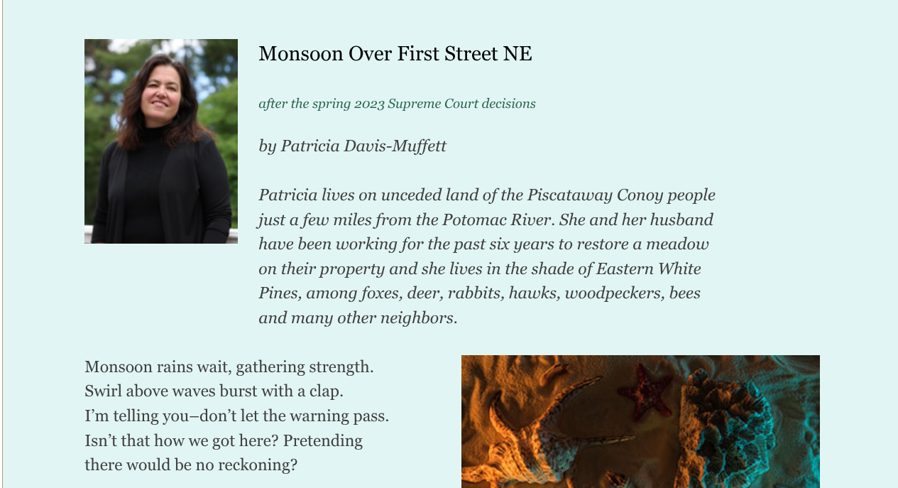 “Monsoon Over First Street NE” published in Canary