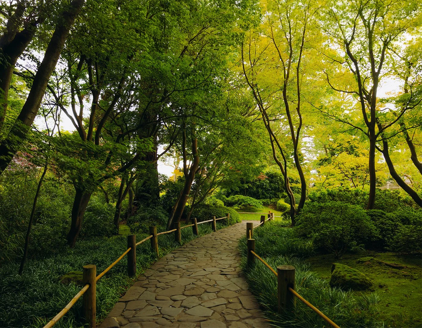 clear path metaphor to show simple is more effective