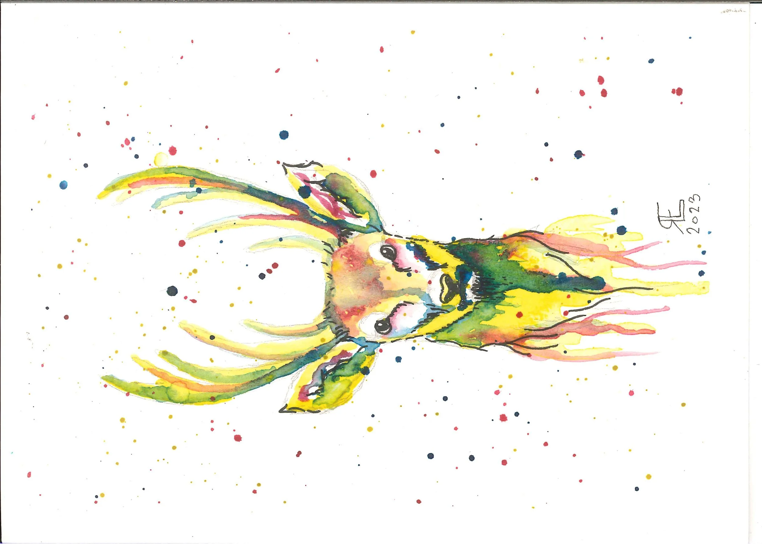 Colorful Deer
