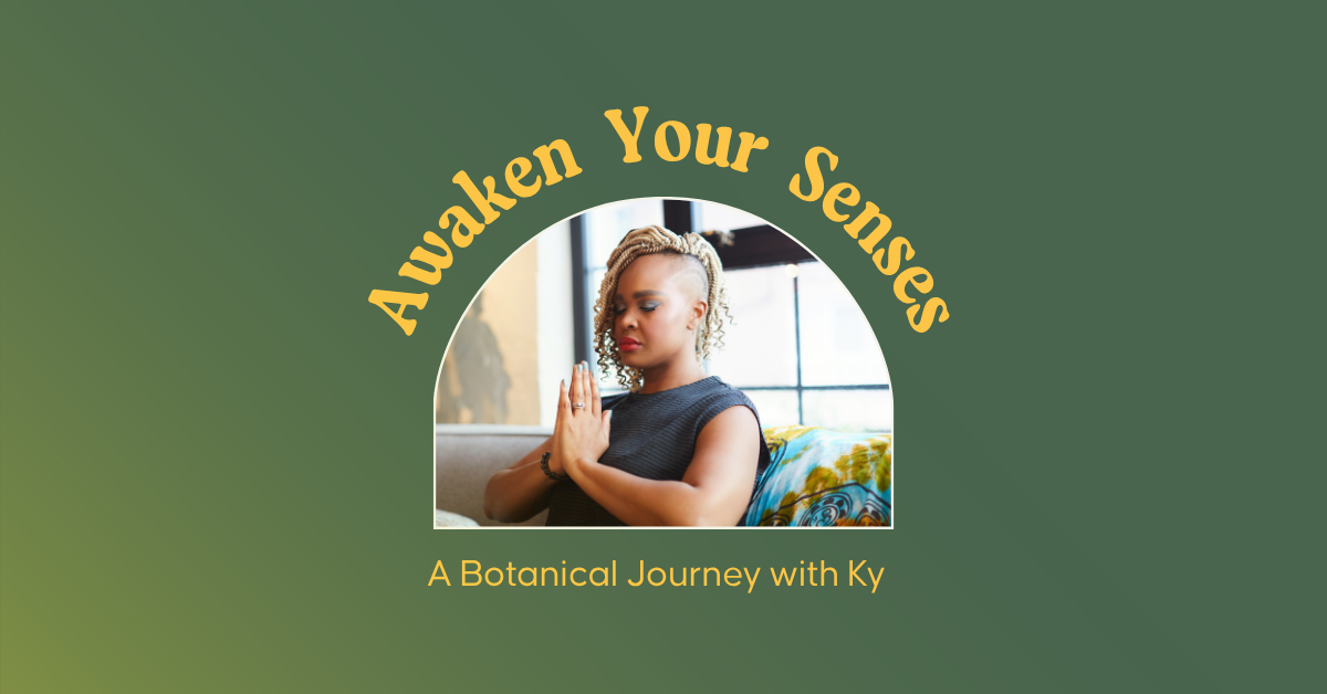 Awaken Your Senses: A Botanical Journey