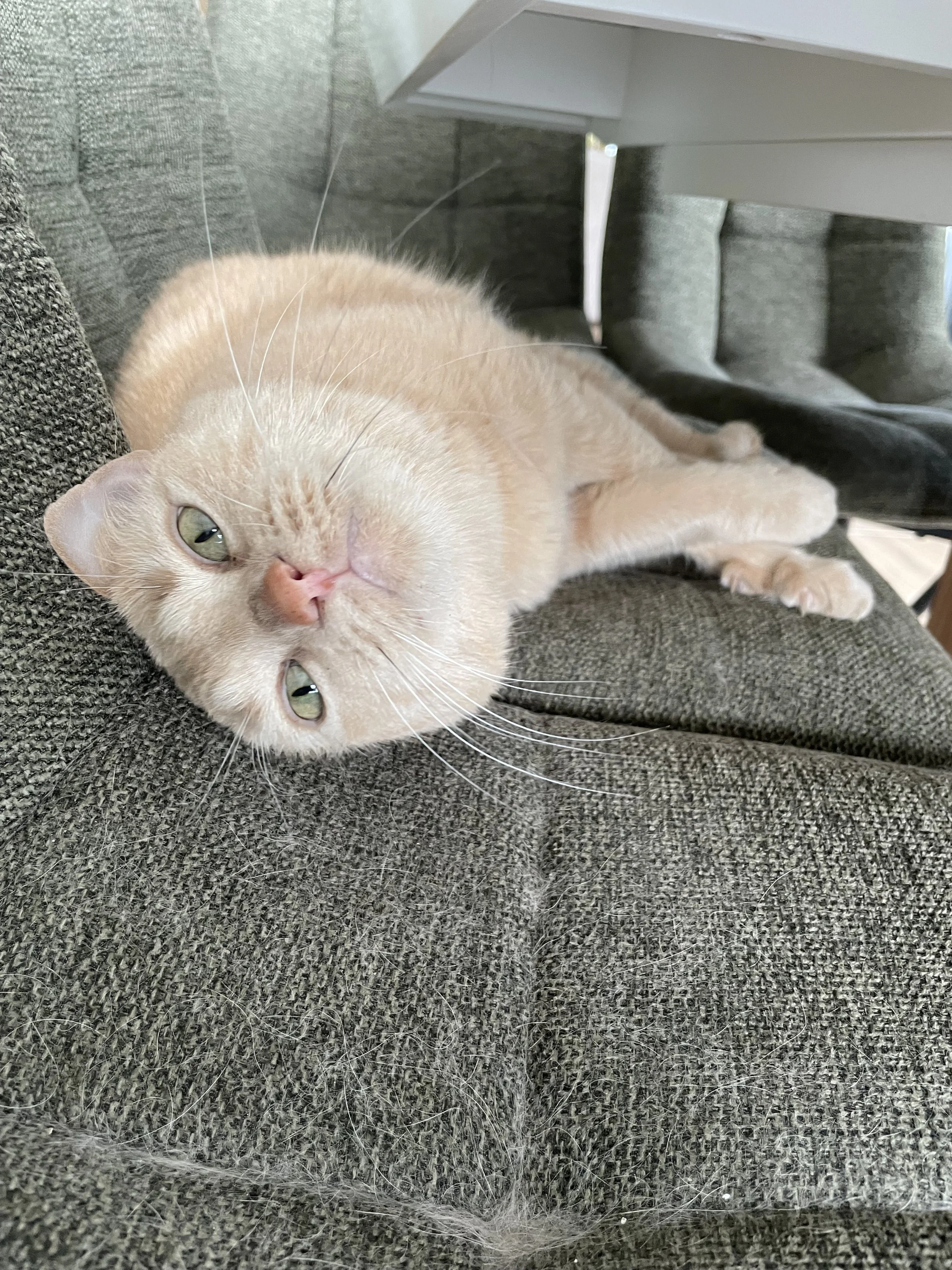 IMG_8624.jpeg
