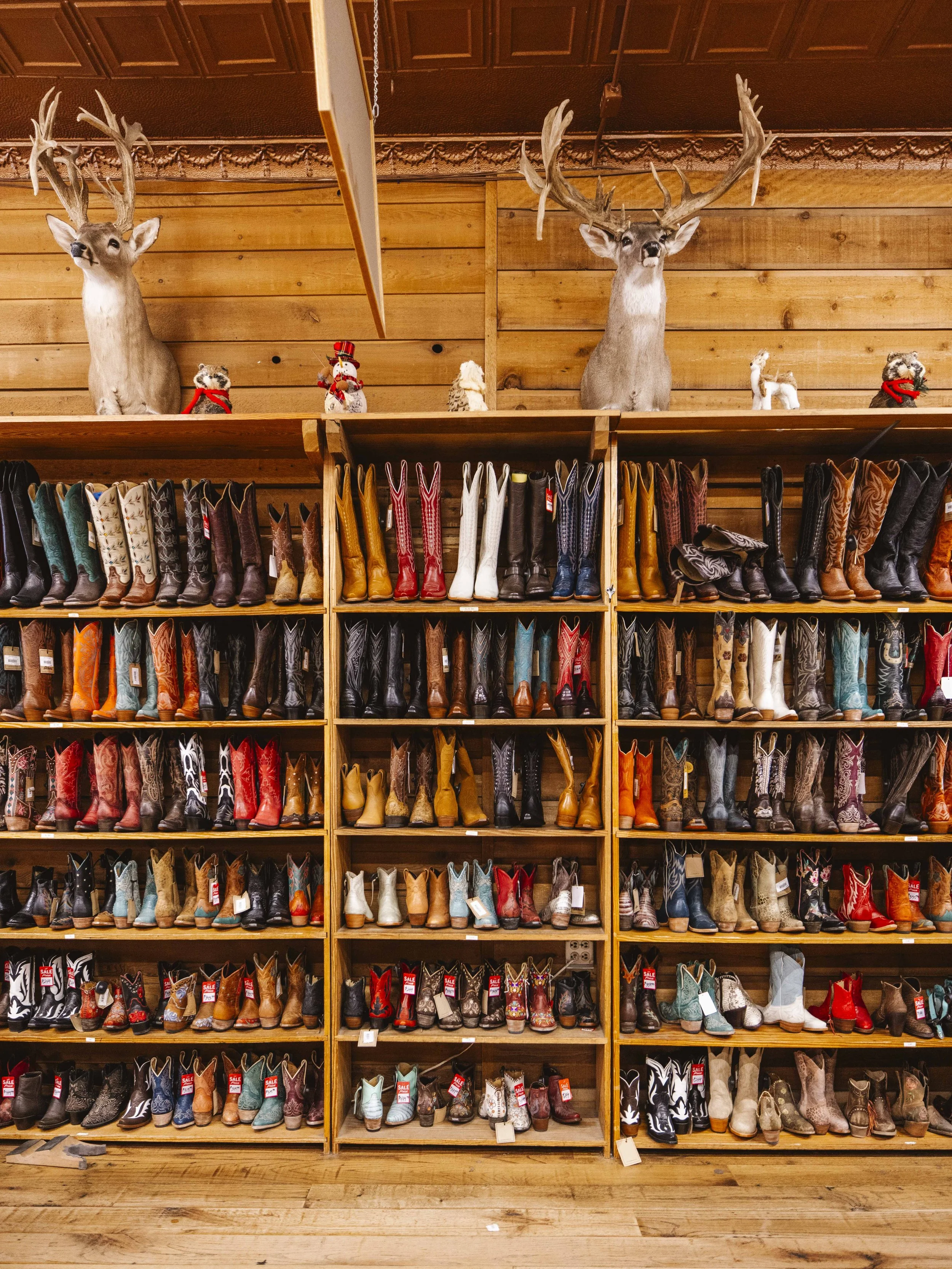 Texas_Low Res_24.jpg