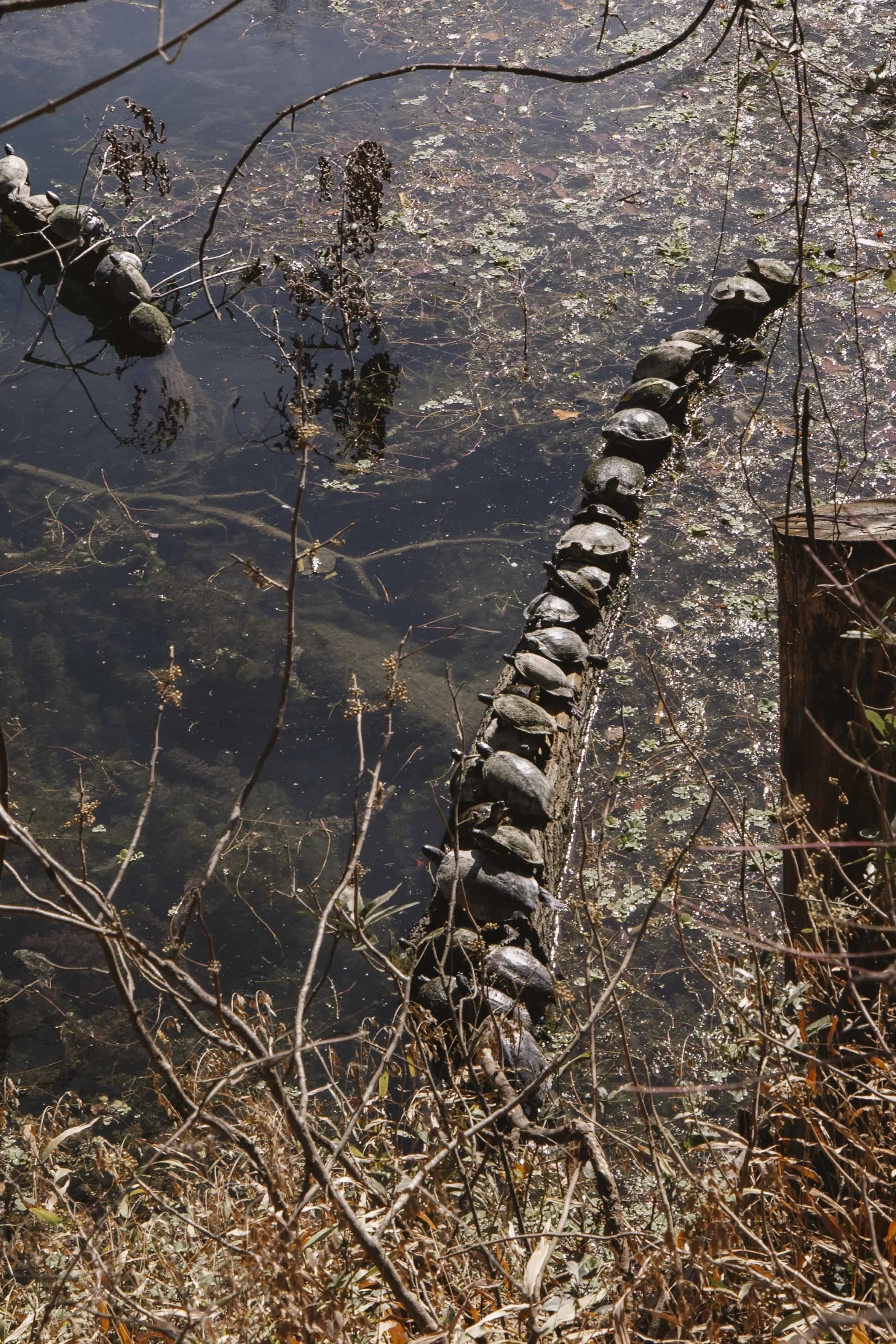 Texas_Low Res_84.jpg