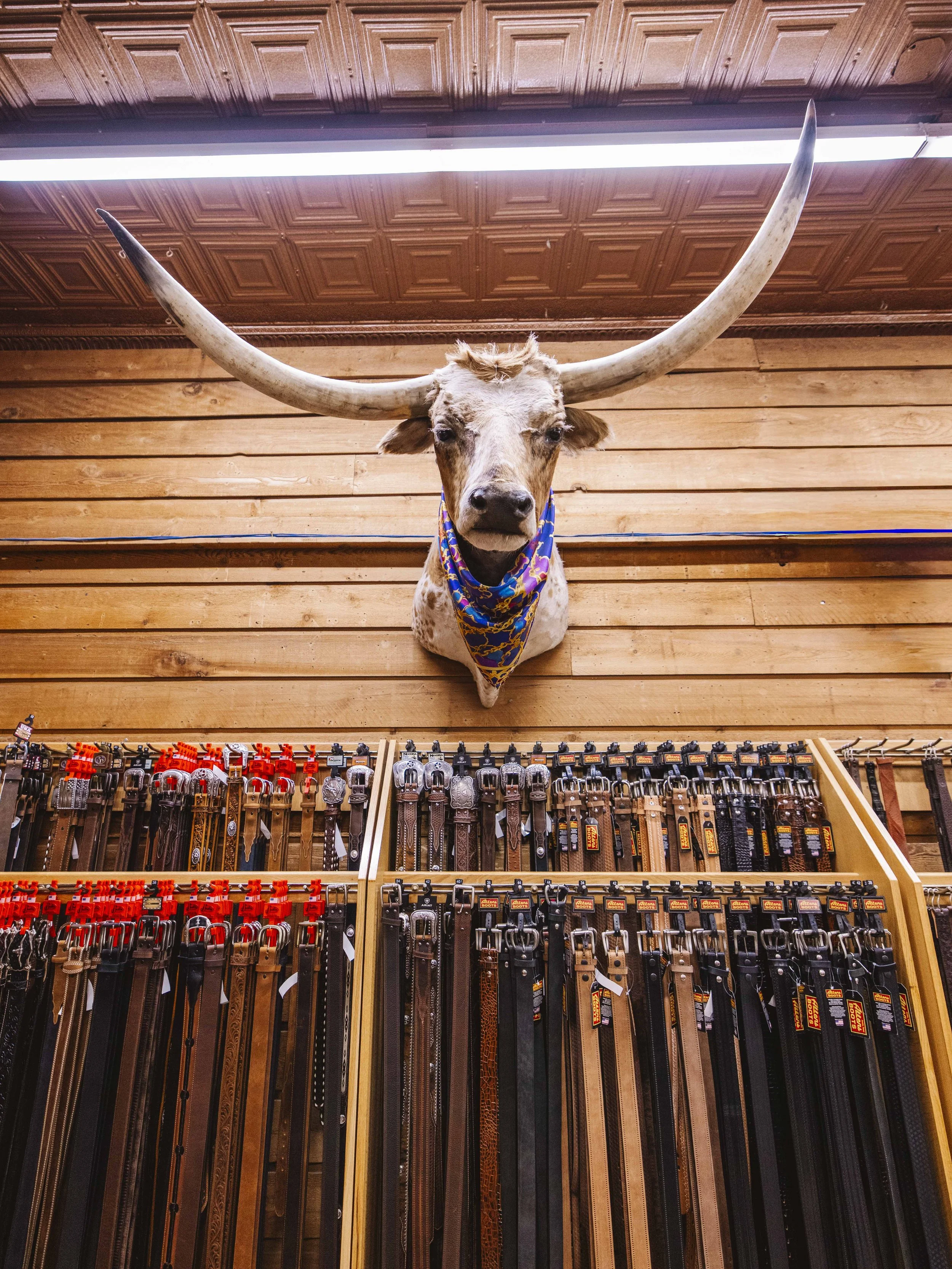 Texas_Low Res_26.jpg