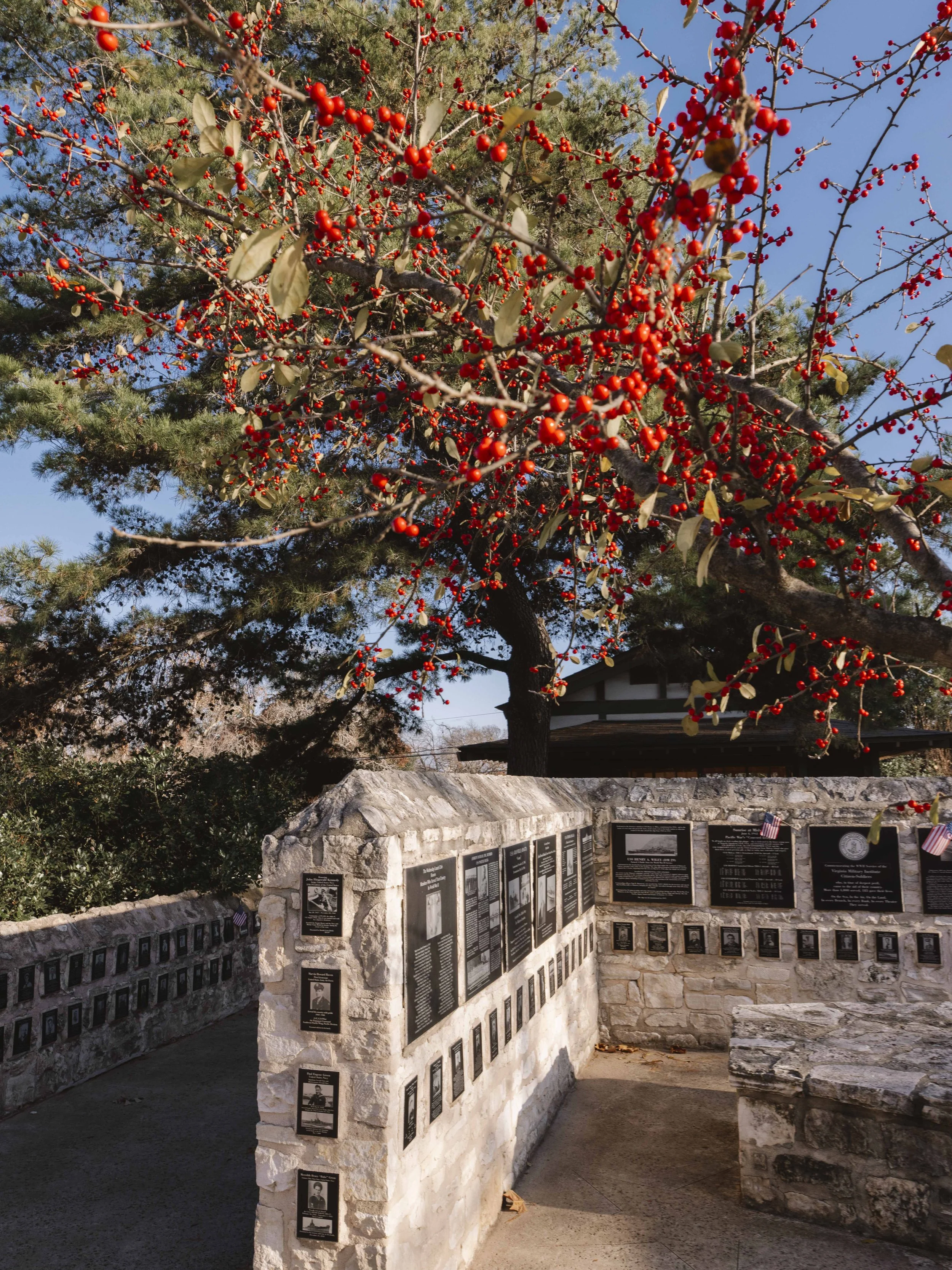 Texas_Low Res_93.jpg