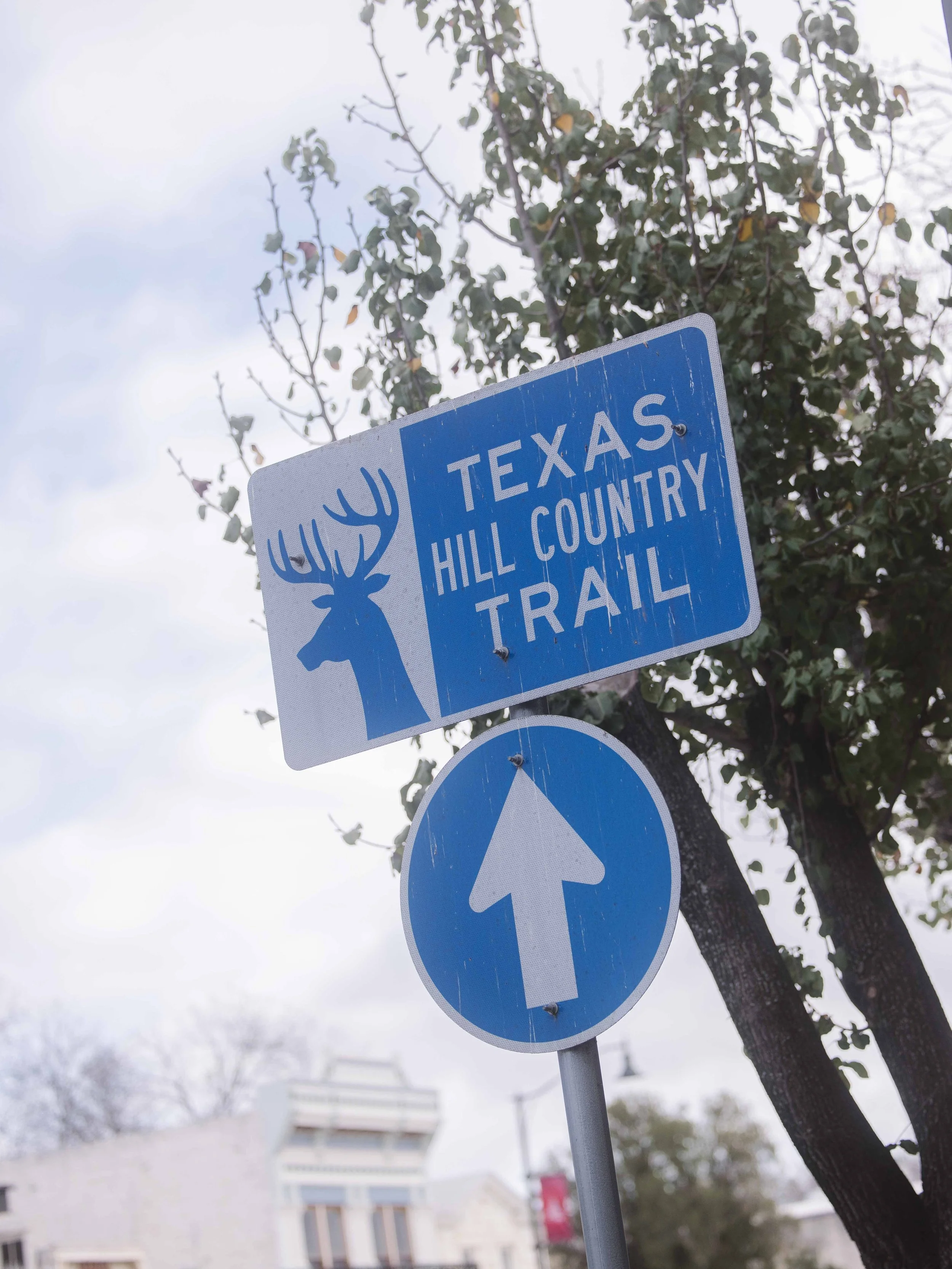 Texas_Low Res_330.jpg