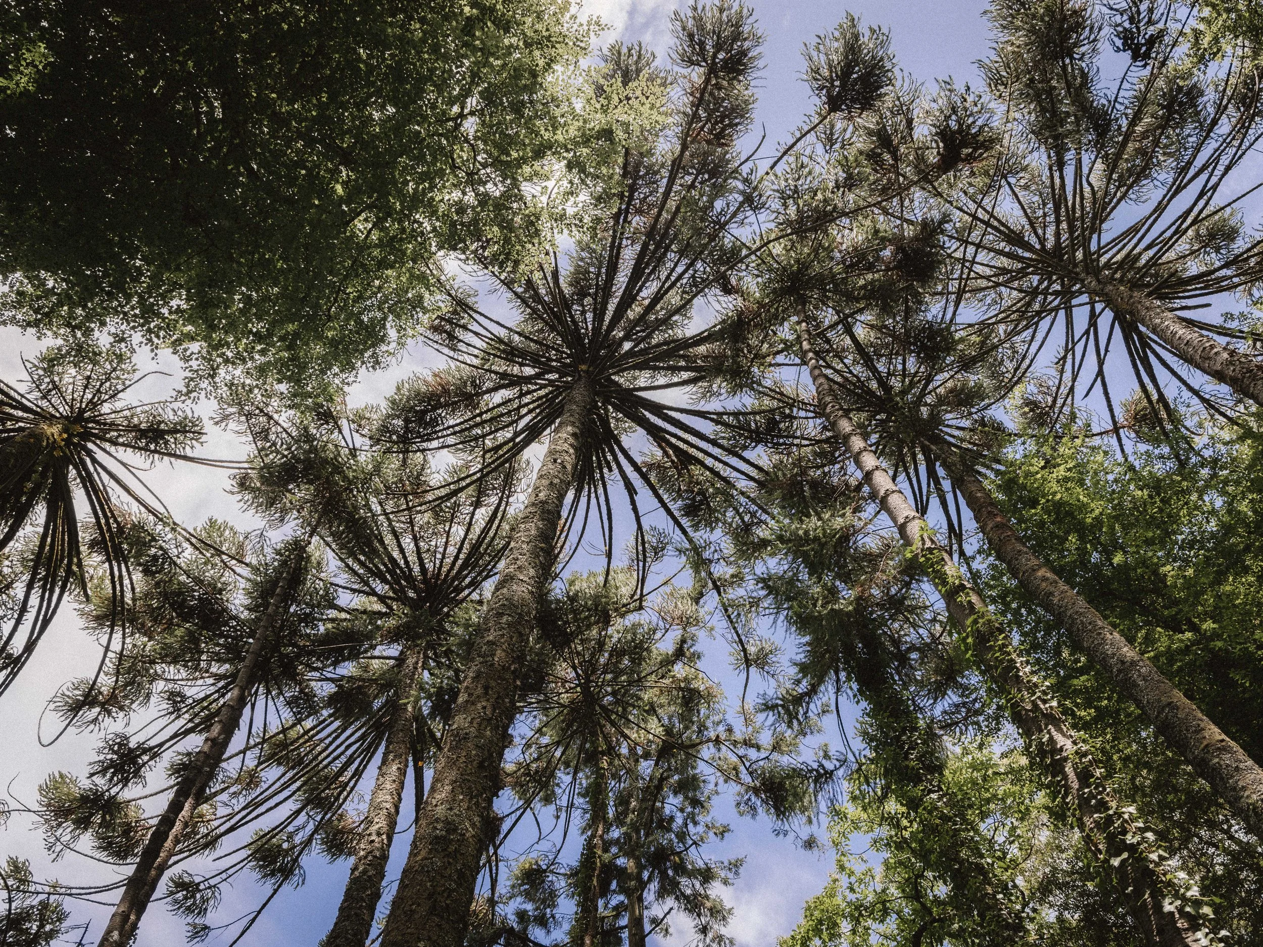 Portugal reworked_158.jpg