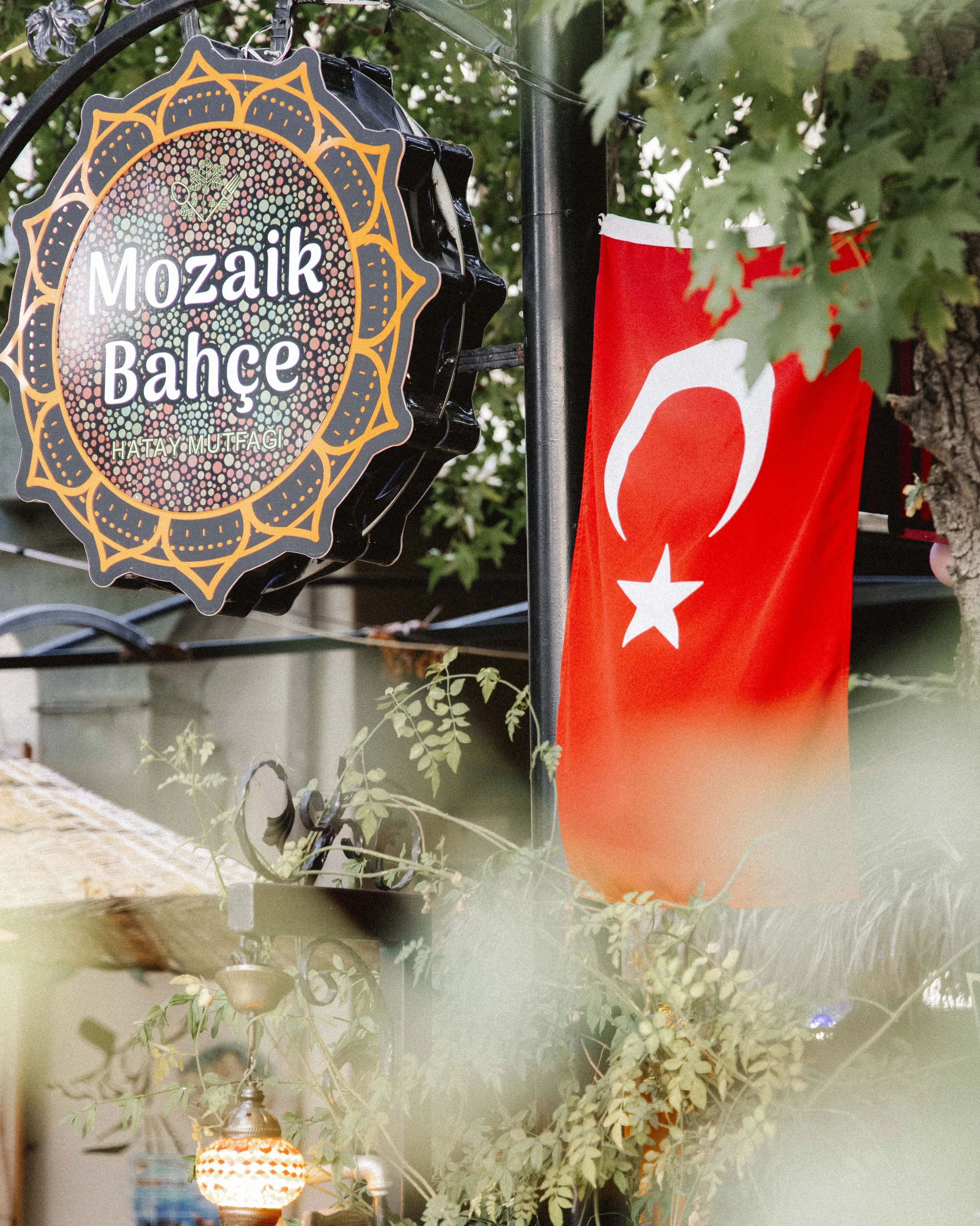 Turkey Reworked_162.jpg