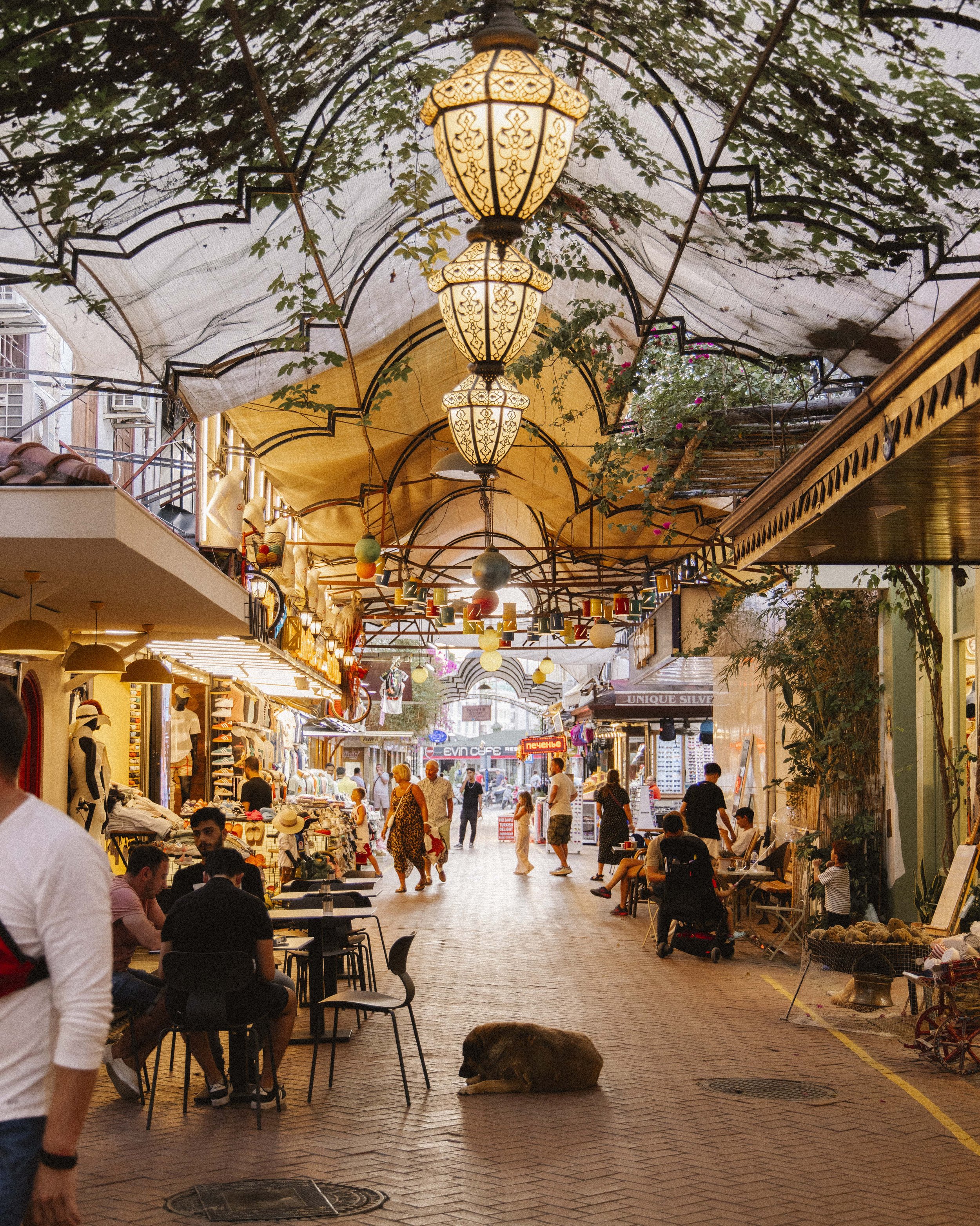 Turkey Reworked_39.jpg