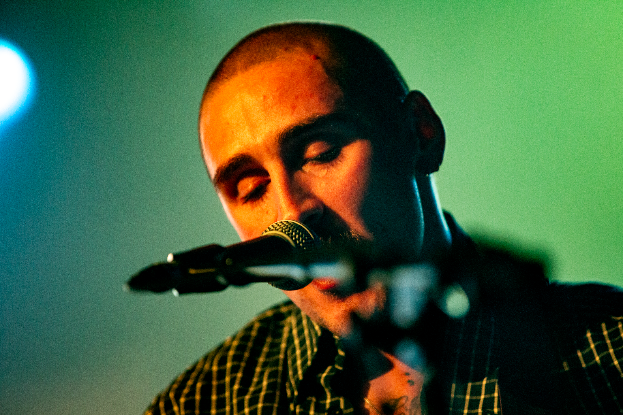 Peevie Wonders - Online use 11.png