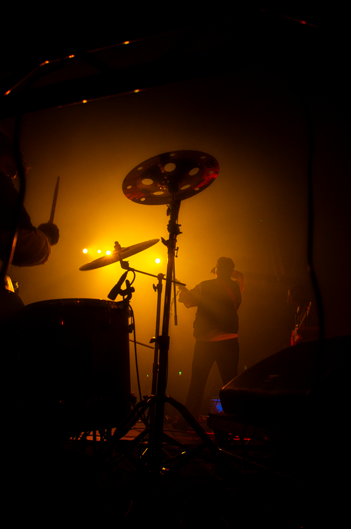 Peevie Wonders - Online use 22.png