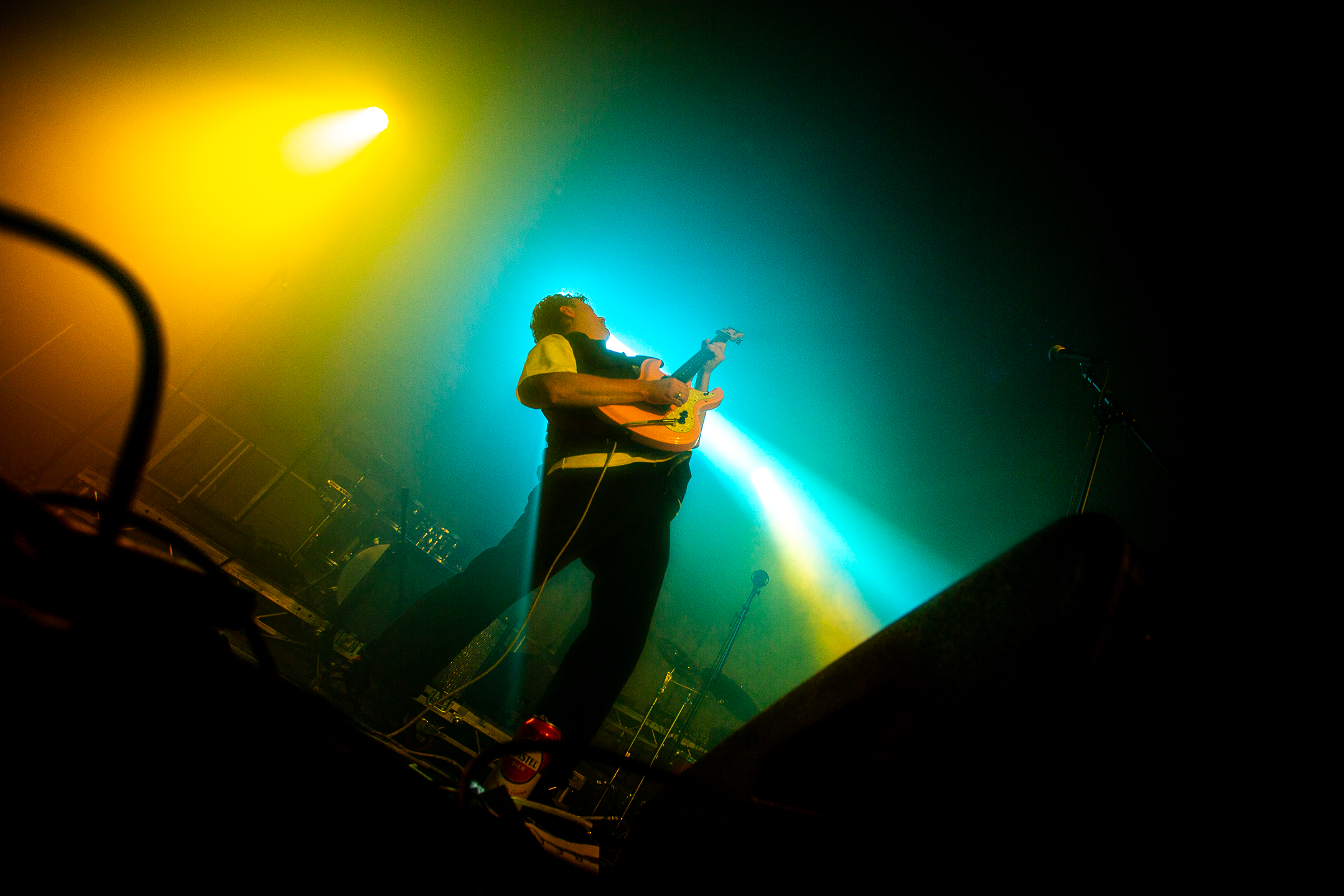 Peevie Wonders - Online use 16.png