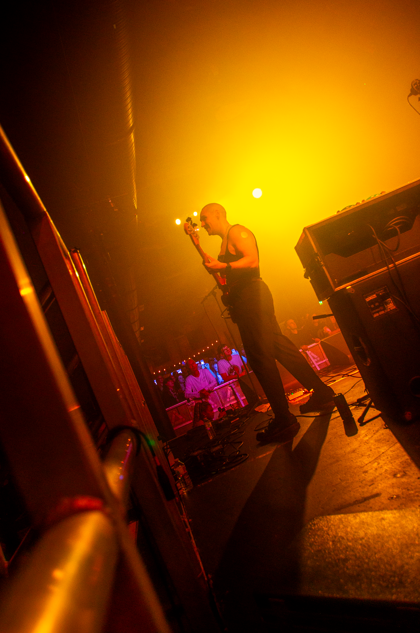 Peevie Wonders - Online use 21.png