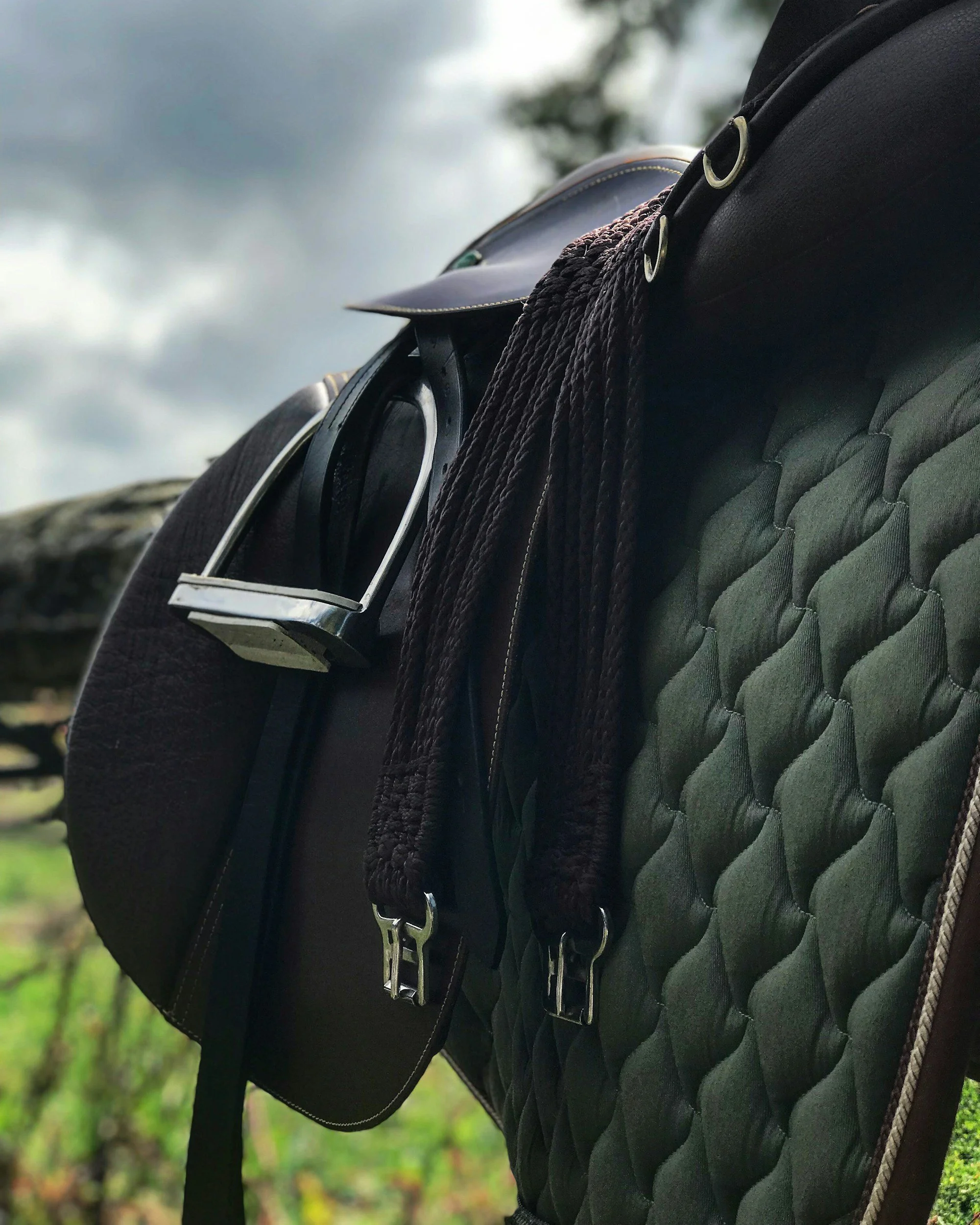 Lär dig sadla och tränsa