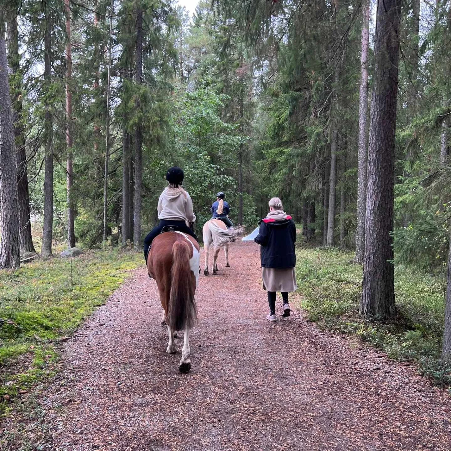 Ridning höstterminen 26