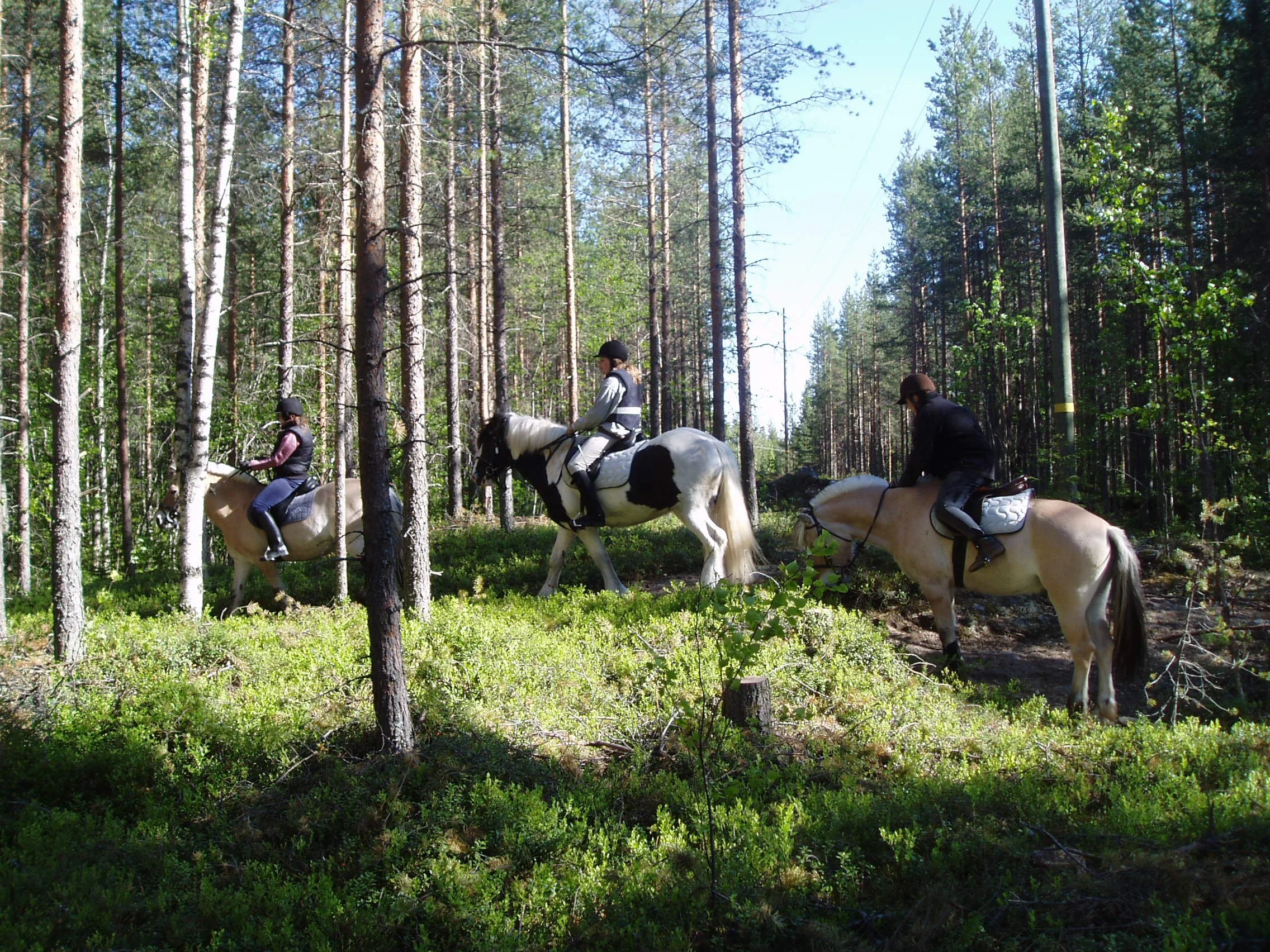 Anpassad ridning 40 år 5 september