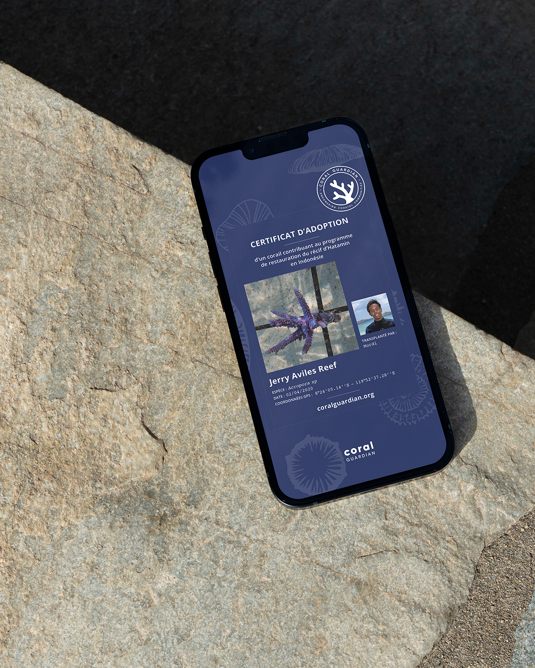 Carte d'adoption d'un corail, avec une image d'un corail coloré et des détails de localisation, de date et de coordonnées GPS. La carte est affichée sur un téléphone posé sur une roche.