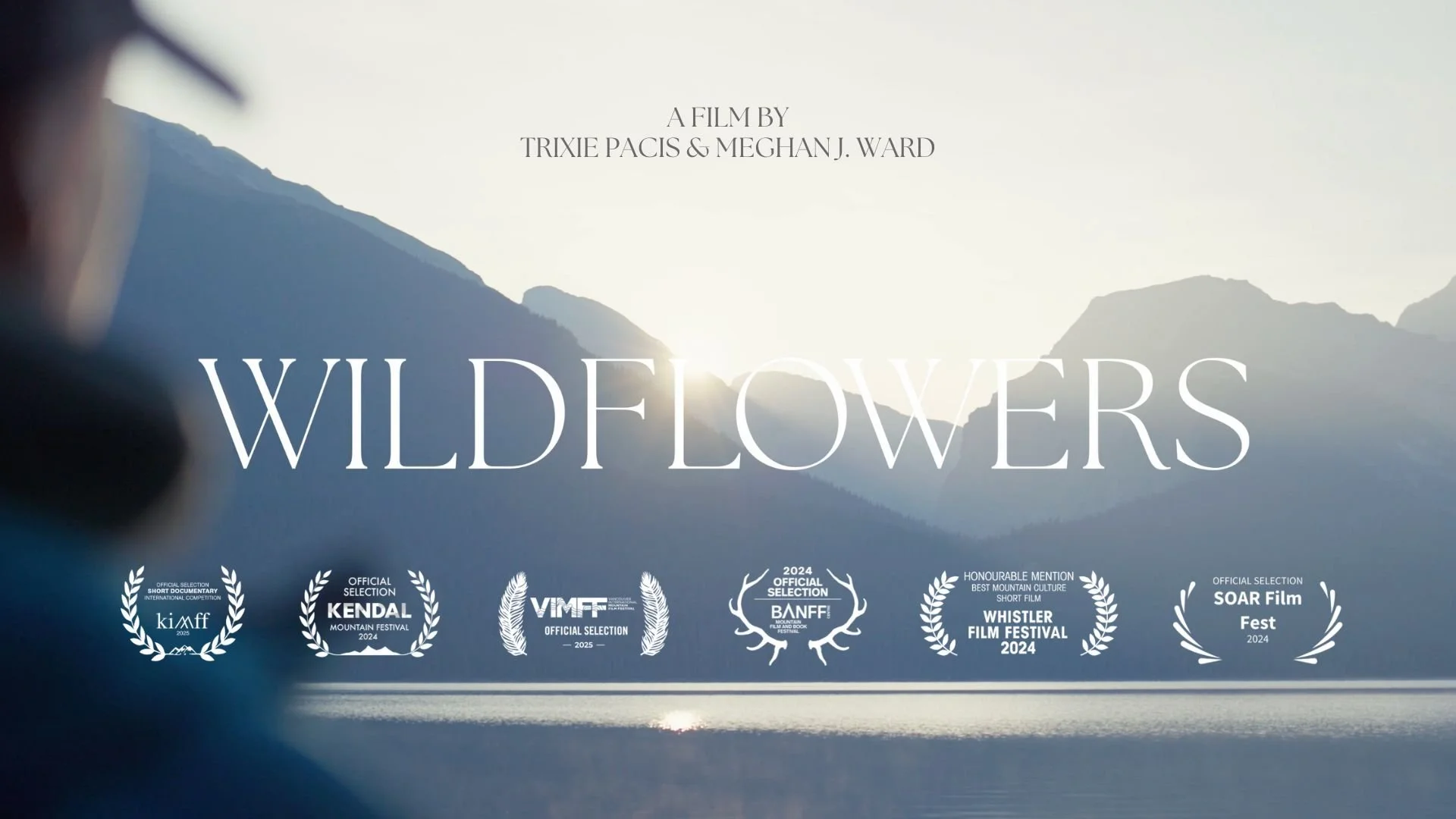 Wildflowers