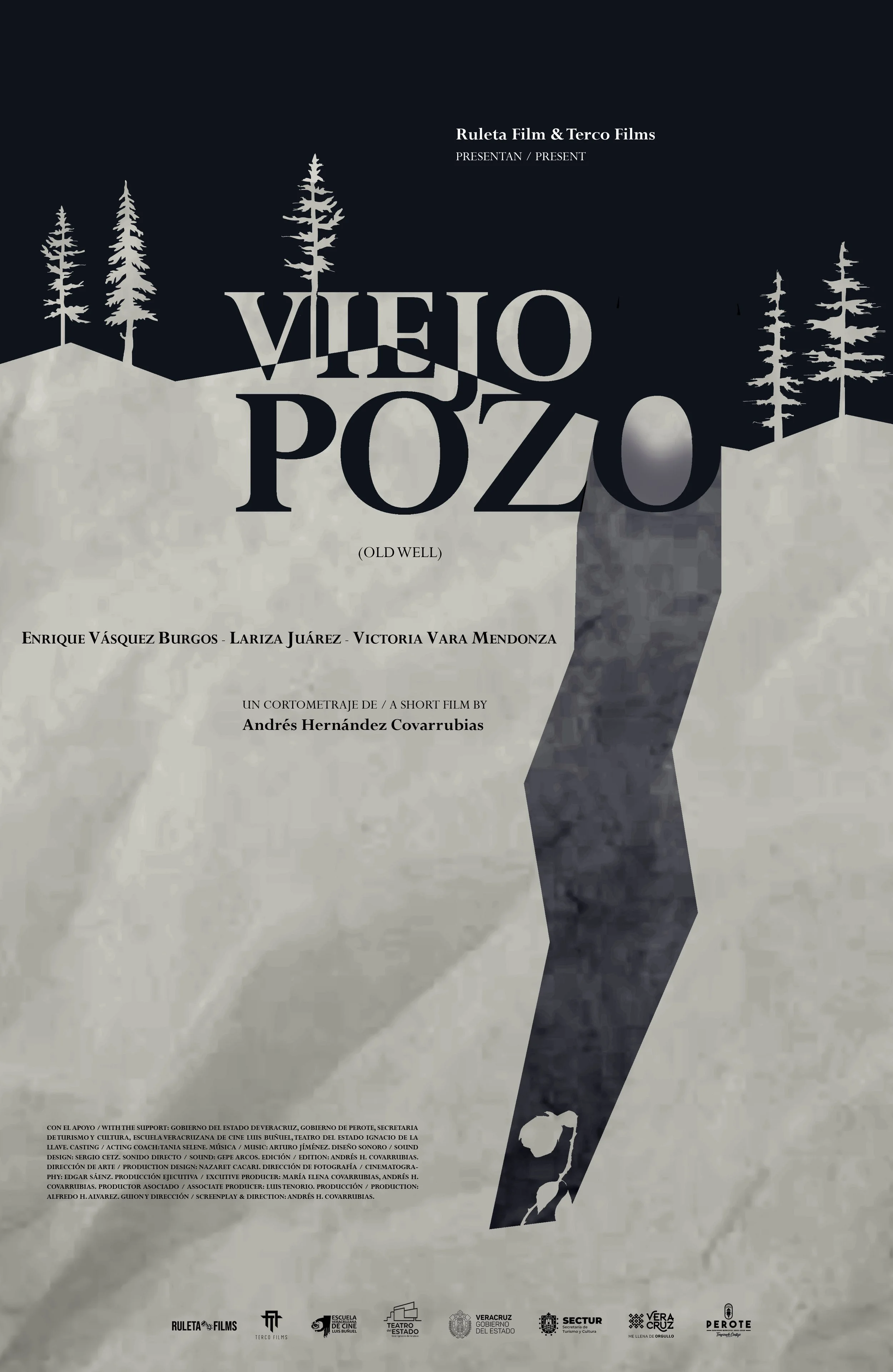 Viejo pozo | Andrés Hernández Covarrubias