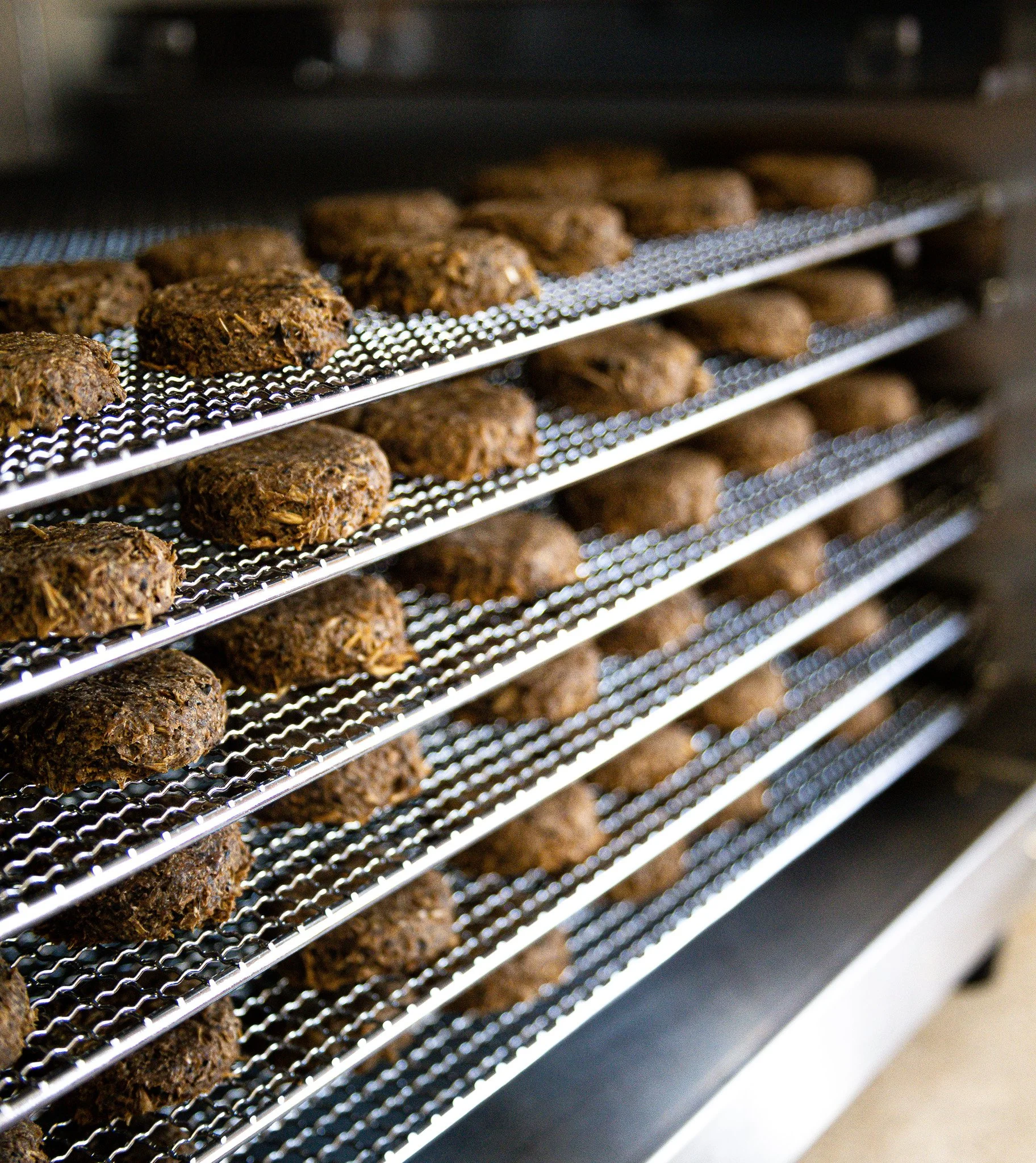 IMG_5980-2 - Copy.jpg