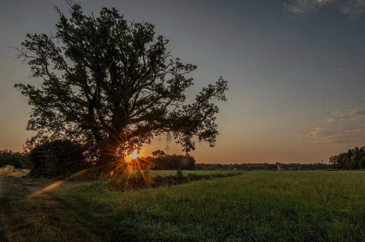Alba sulle campagne nella Valle del Ticino