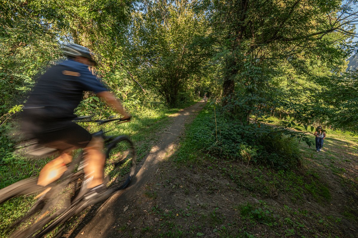 Ciclista