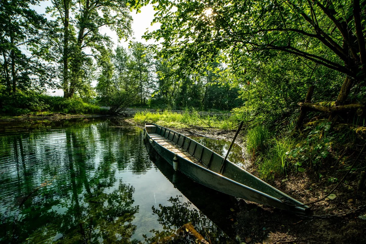 Le caratteristiche barche sul fiume Ticino