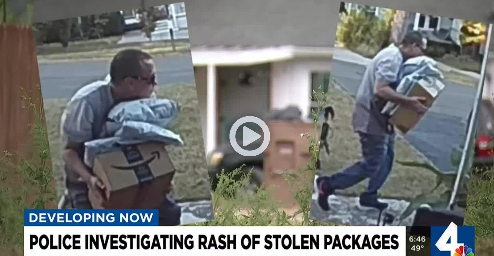 The Amazon Thief