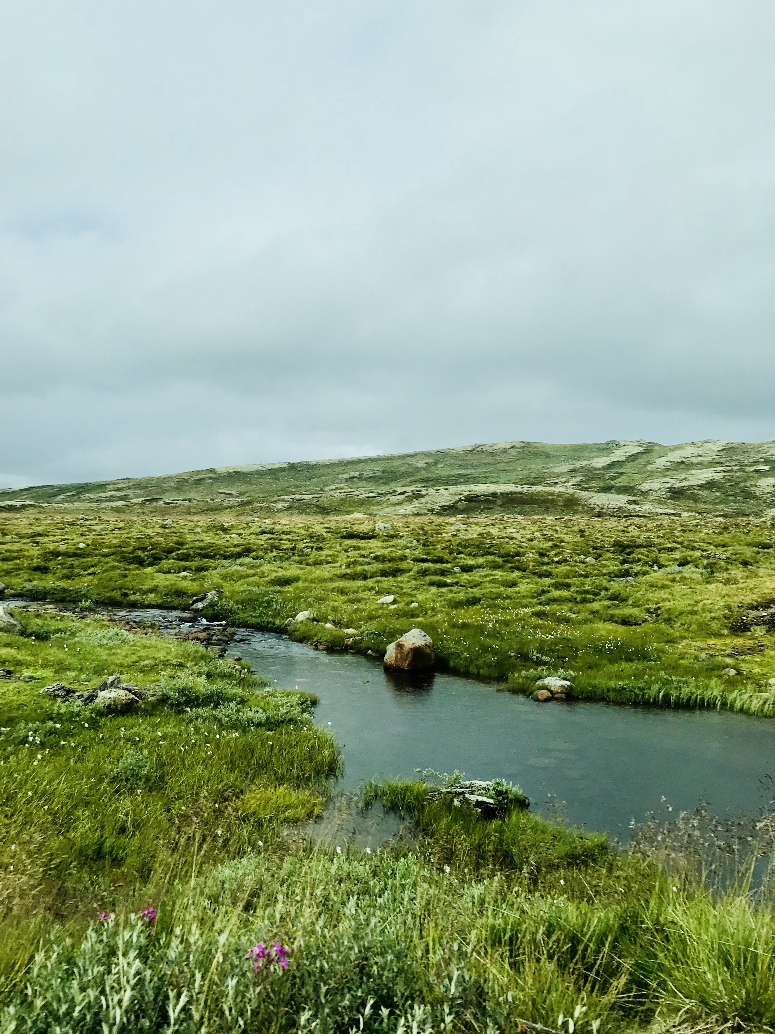 Hardangervidda