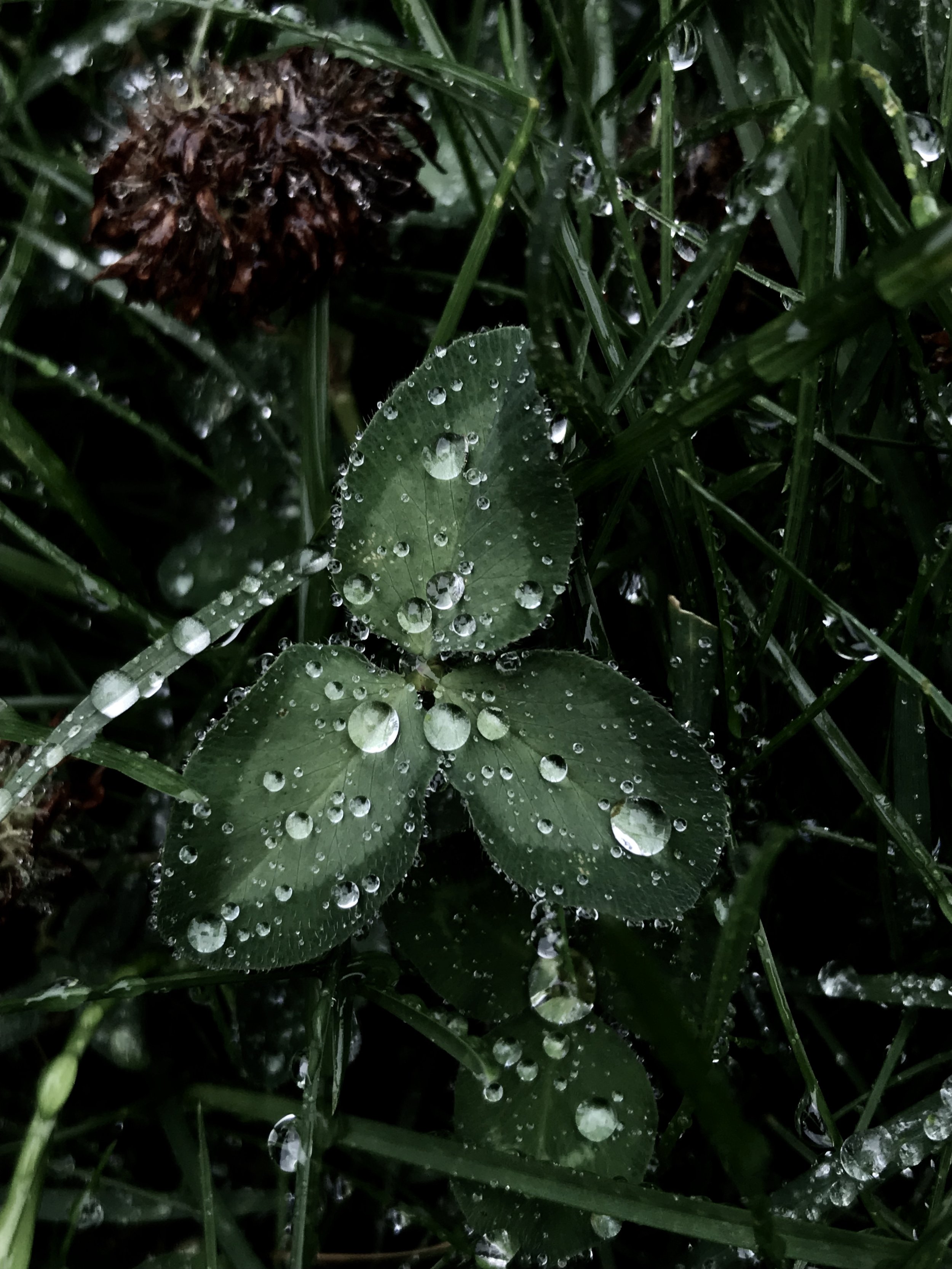 Drops of drops