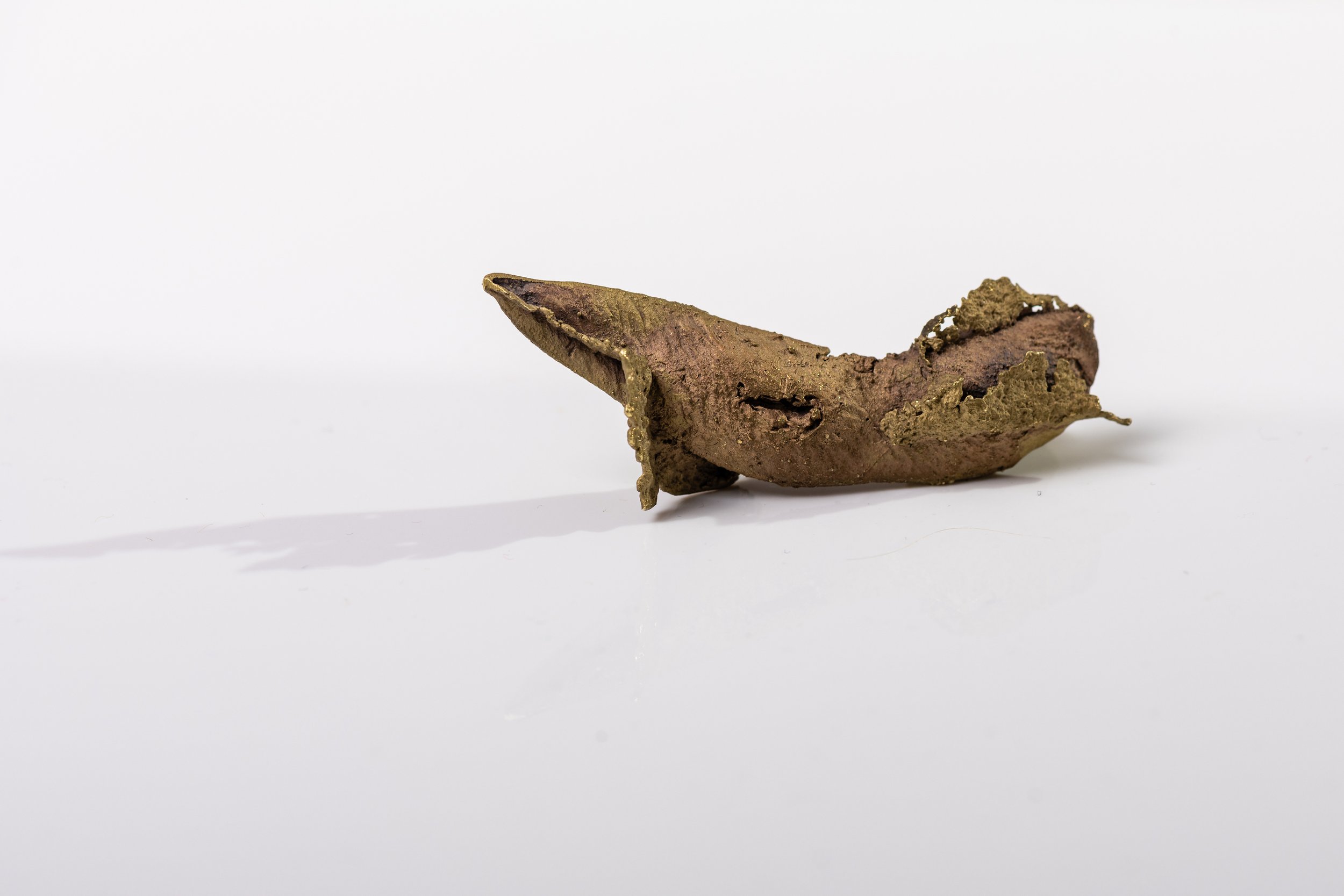 soybean artifacts