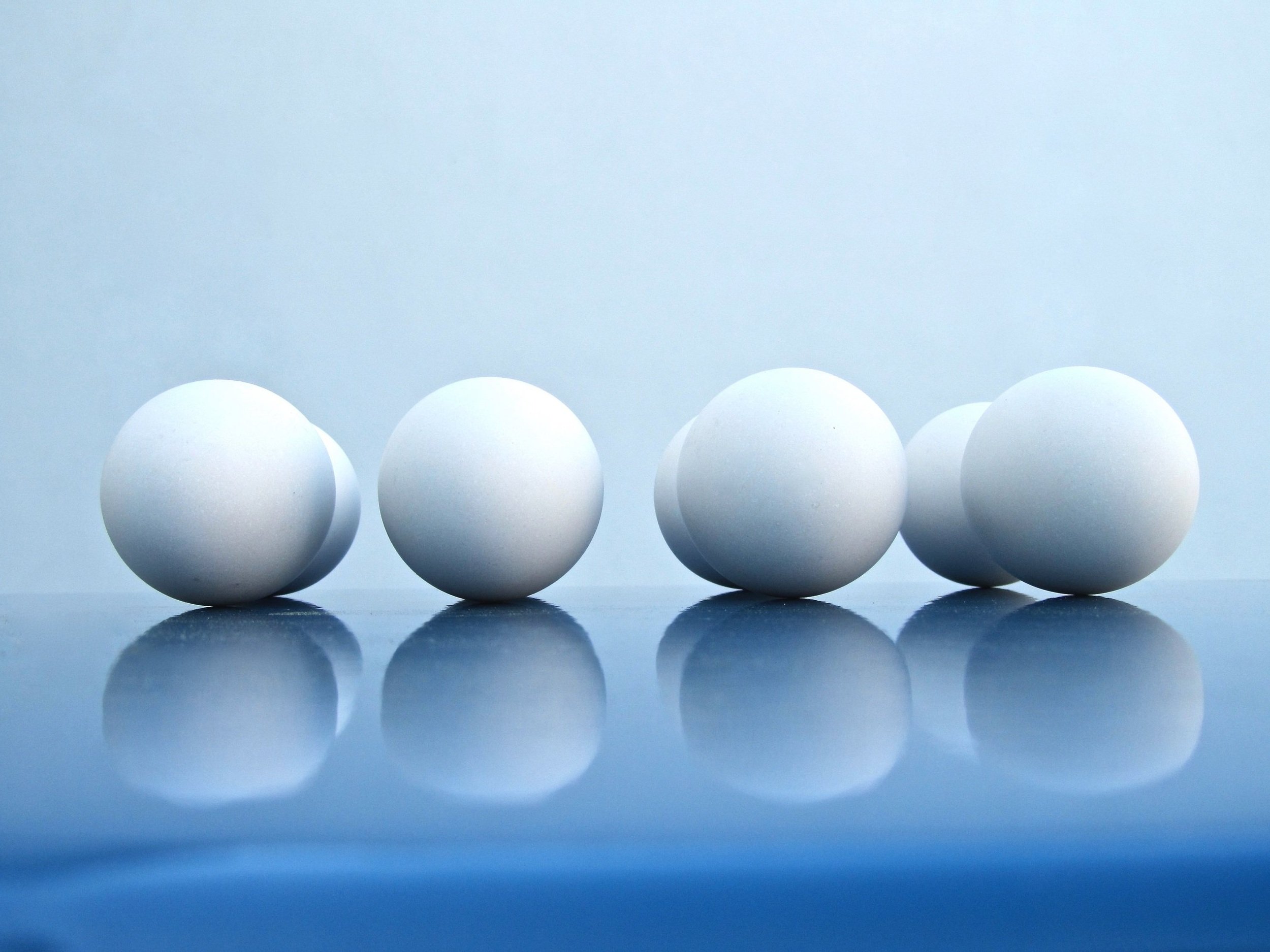 egg_2.jpg