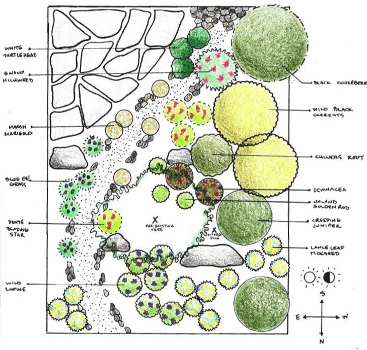 FrontYardwithraingarden.jpg
