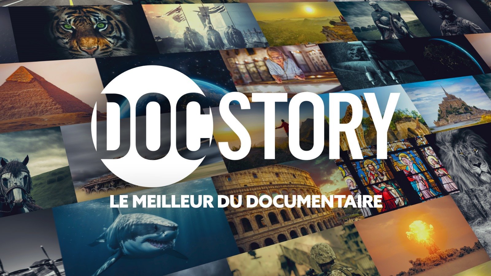 logo Docstory.jpg