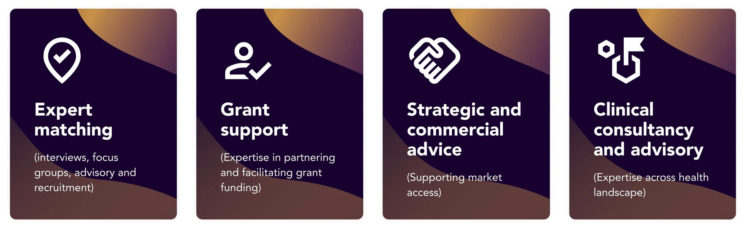 What is Fitbit Labs visual data 8