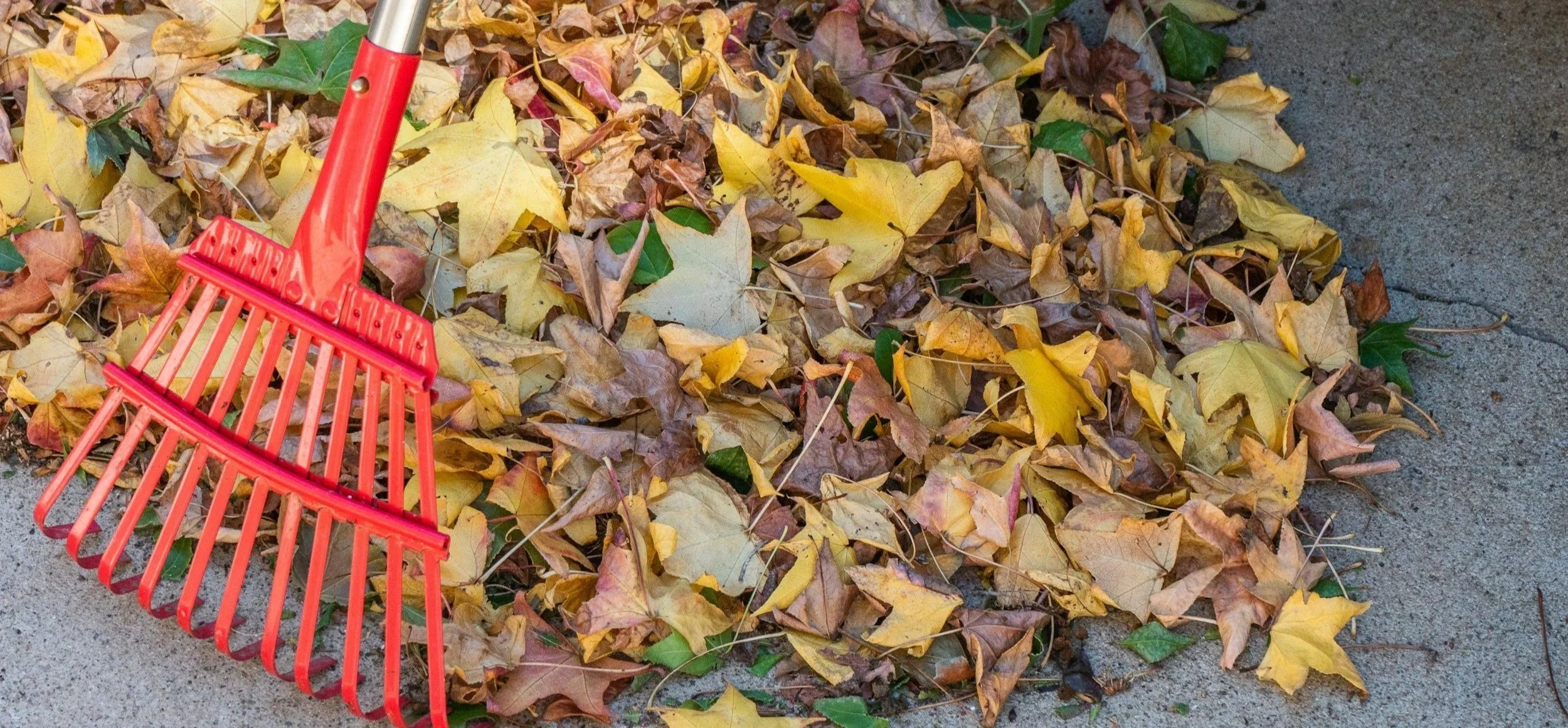 Preparing Your Home for the Holidays (and the Cold) with Latitude 44