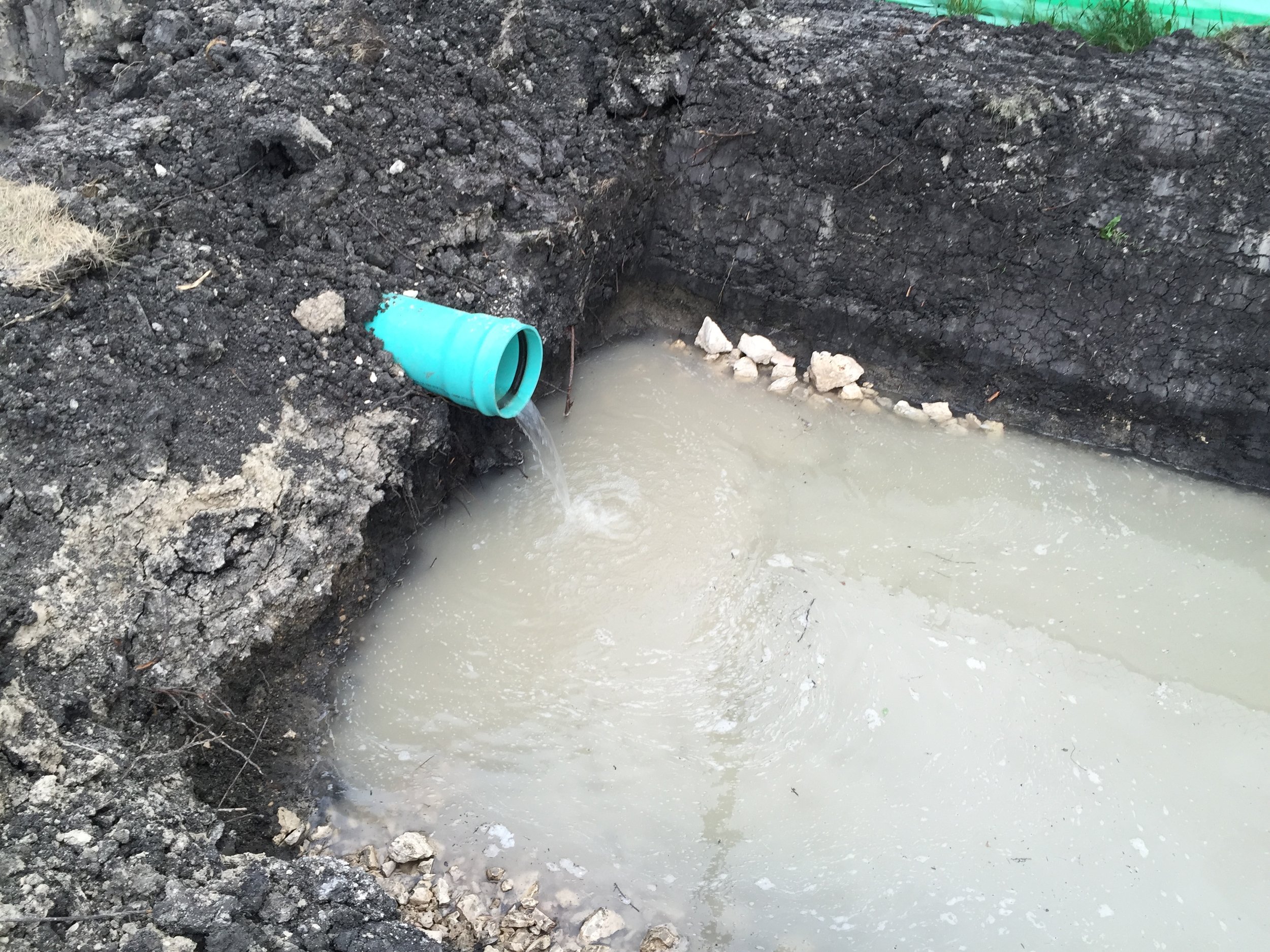 IMG_2170 (1).JPG
