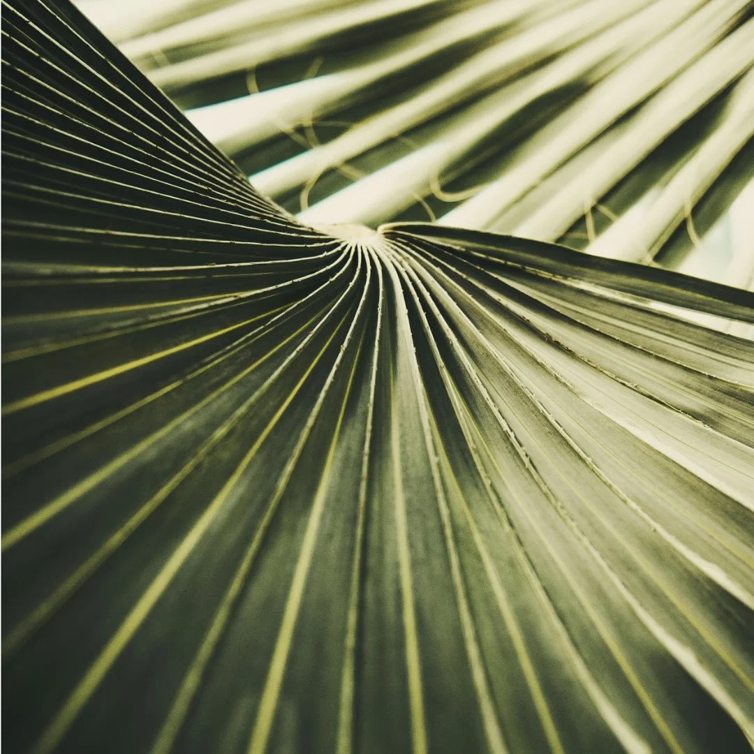 🌊 Retour &agrave; la source universelle

Nous venons tous d&rsquo;une m&ecirc;me source universelle, sacr&eacute;e, un oc&eacute;an d&rsquo;amour, une conscience, une essence commune d&rsquo;unit&eacute;. Nos vies suivent ensuite des chemins bien di