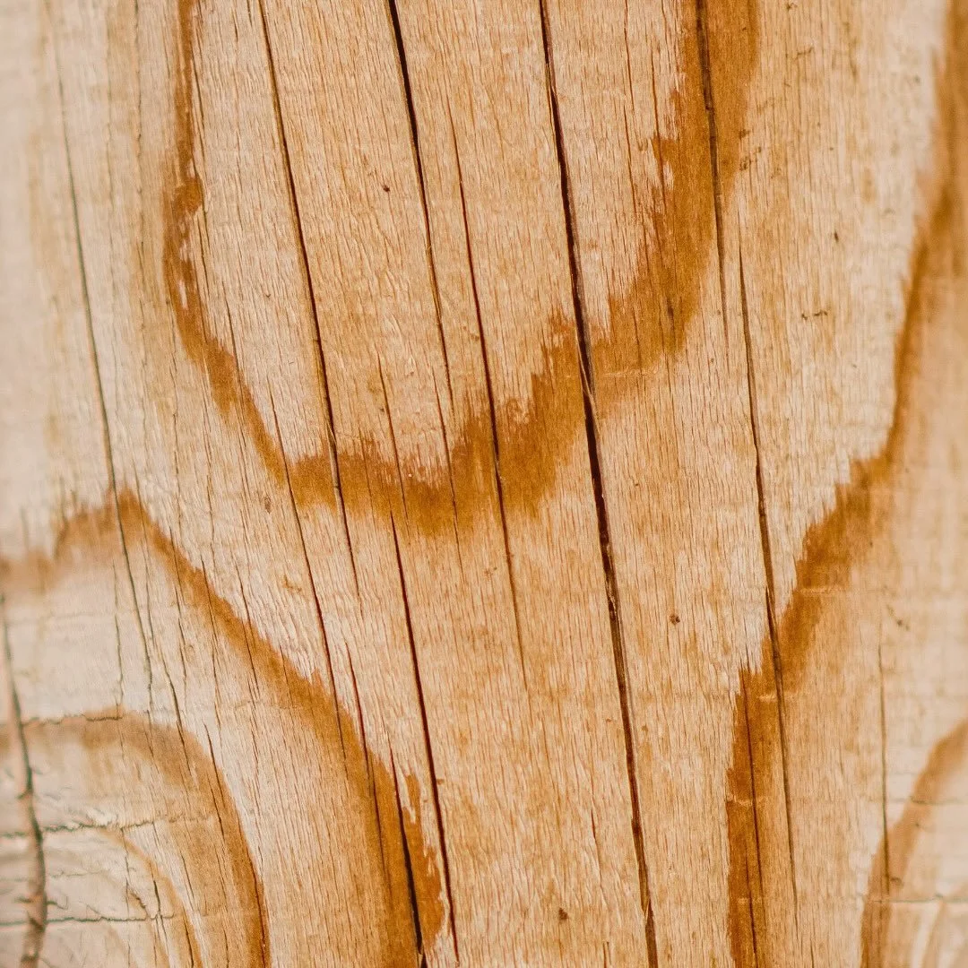 🌳 Comme les veines dans le bois

Comme les veines profondes de ce bois, fa&ccedil;onn&eacute;es par le temps et les &eacute;l&eacute;ments, nos vies portent les marques de nos exp&eacute;riences, r&eacute;v&eacute;lant une force int&eacute;rieure un